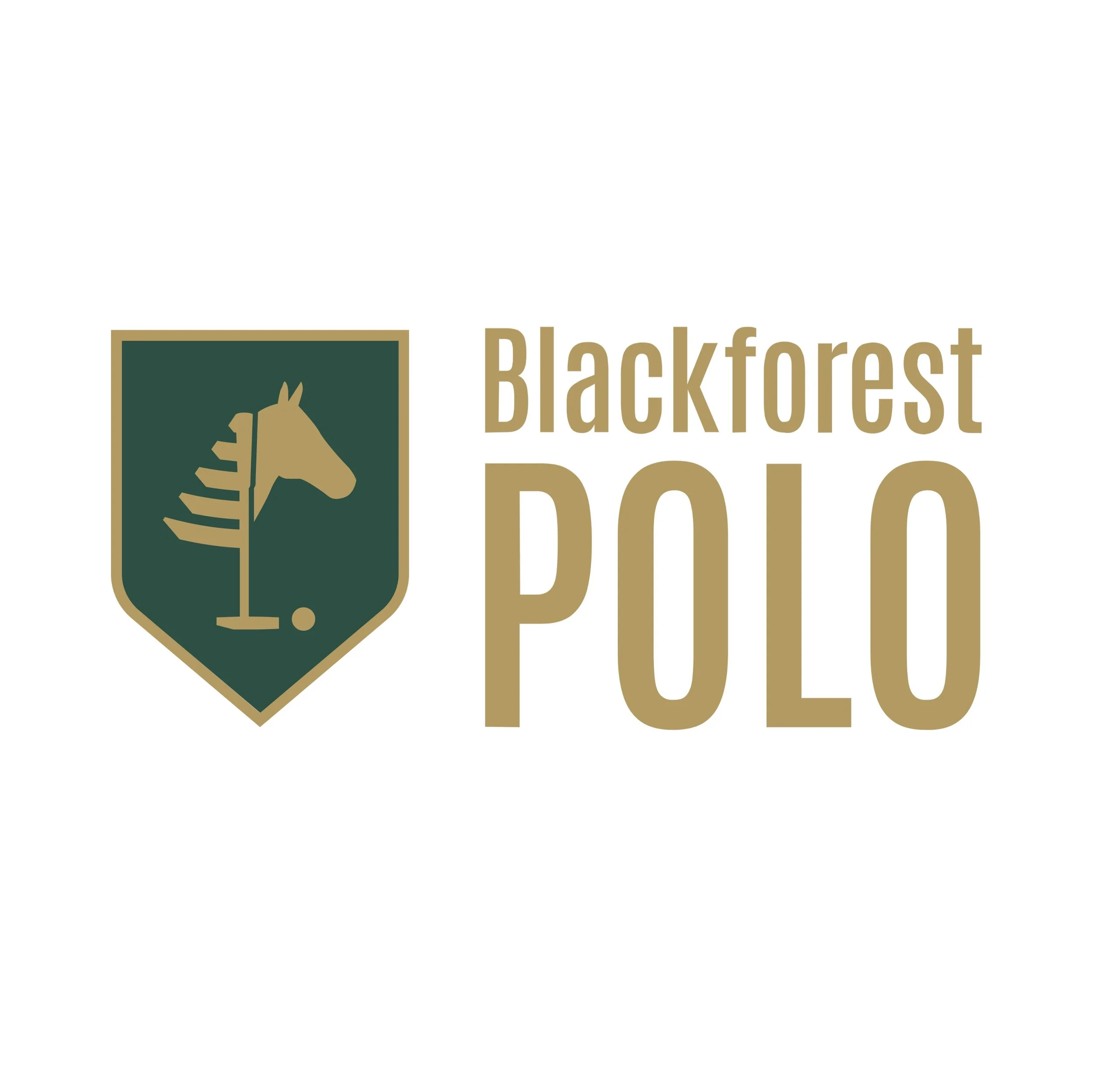 BFP-LOGO Nebeneinander .jpg
