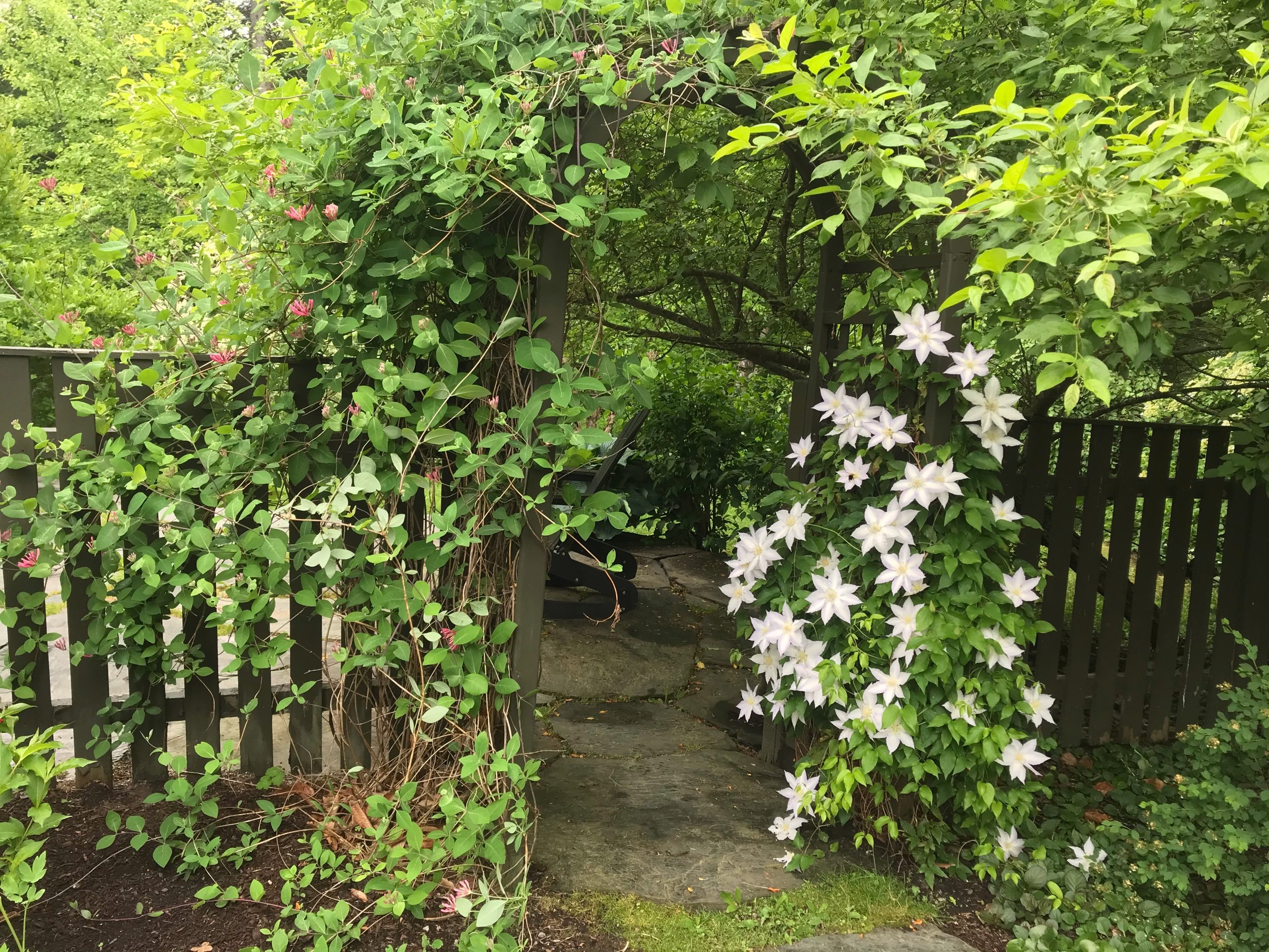 IMG_0947.jpeg