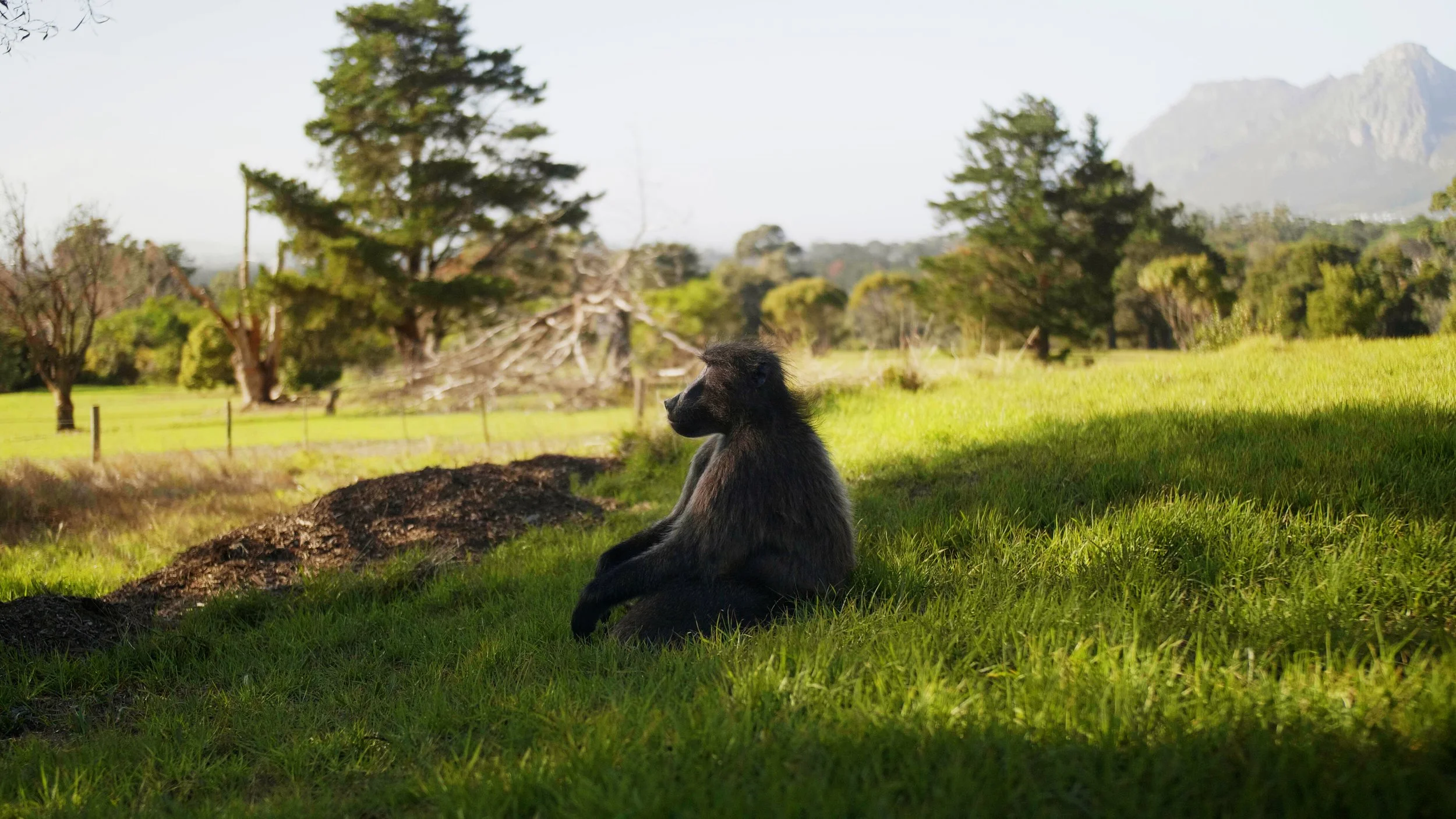 Stockholm University