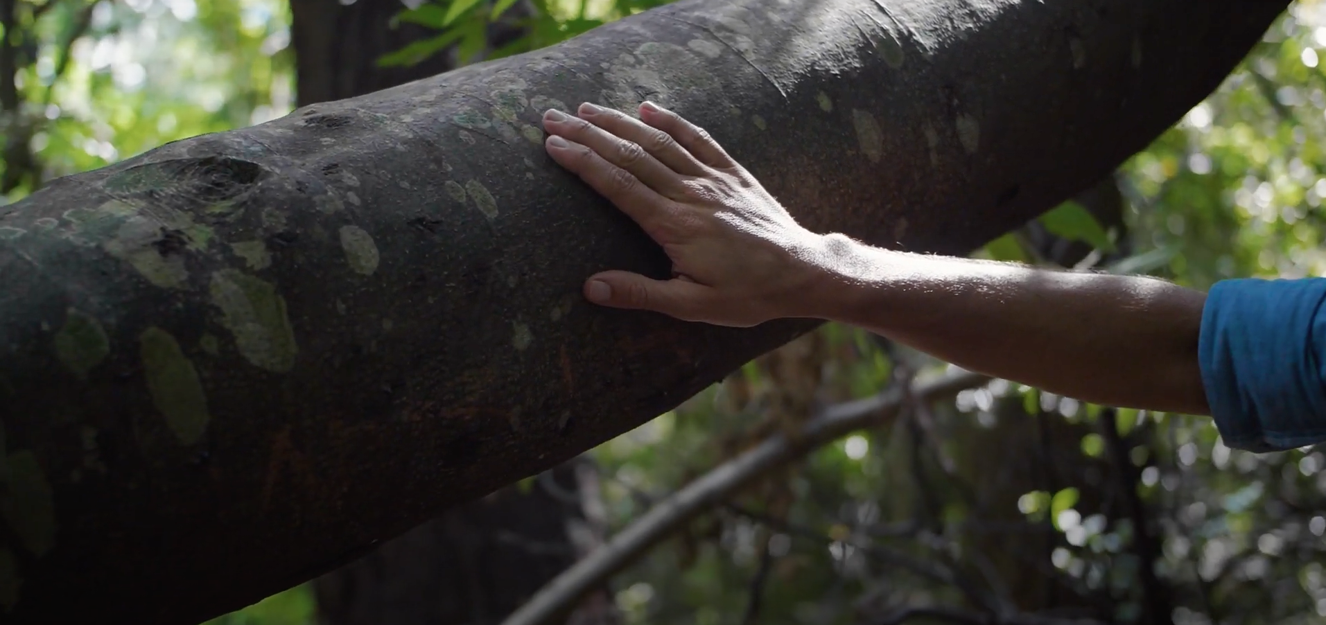 Investec Stefano Semprini