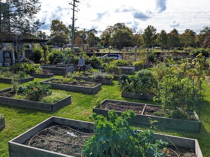 👨&zwj;🌾 We&rsquo;re thrilled to see the River and Roots Community Garden coming back to life for another year of growth and gathering! 

🥬 This downtown gem is located on Main Street, south of the Griffing Avenue intersection, next to the communit
