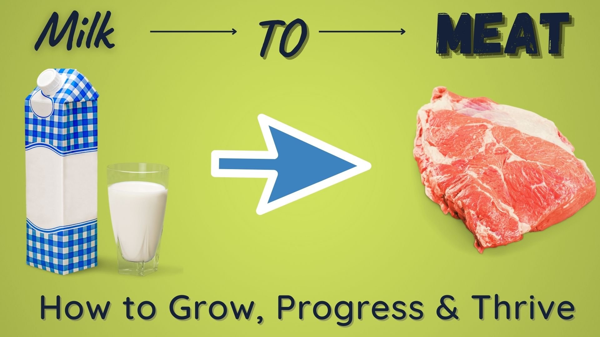 Milk To Meat