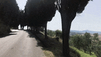 Somewhere in Tuscany.