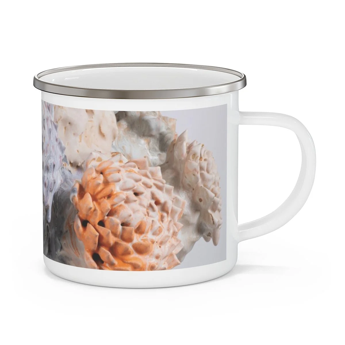 12fe25003e03b96579d158512d8f9172