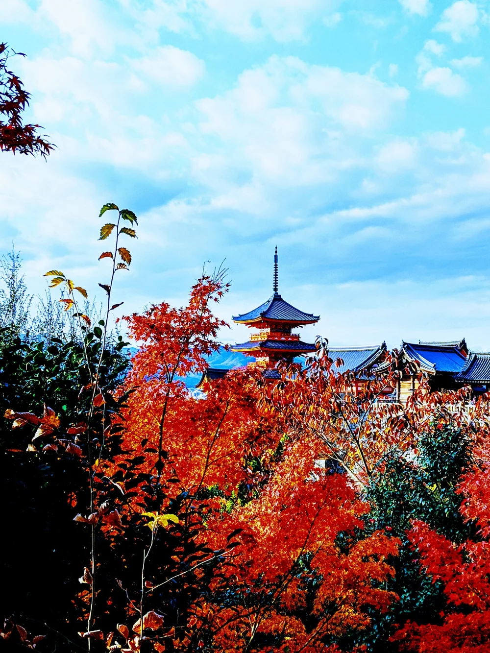 processed_2019-11-26 05.01.02 1.jpg