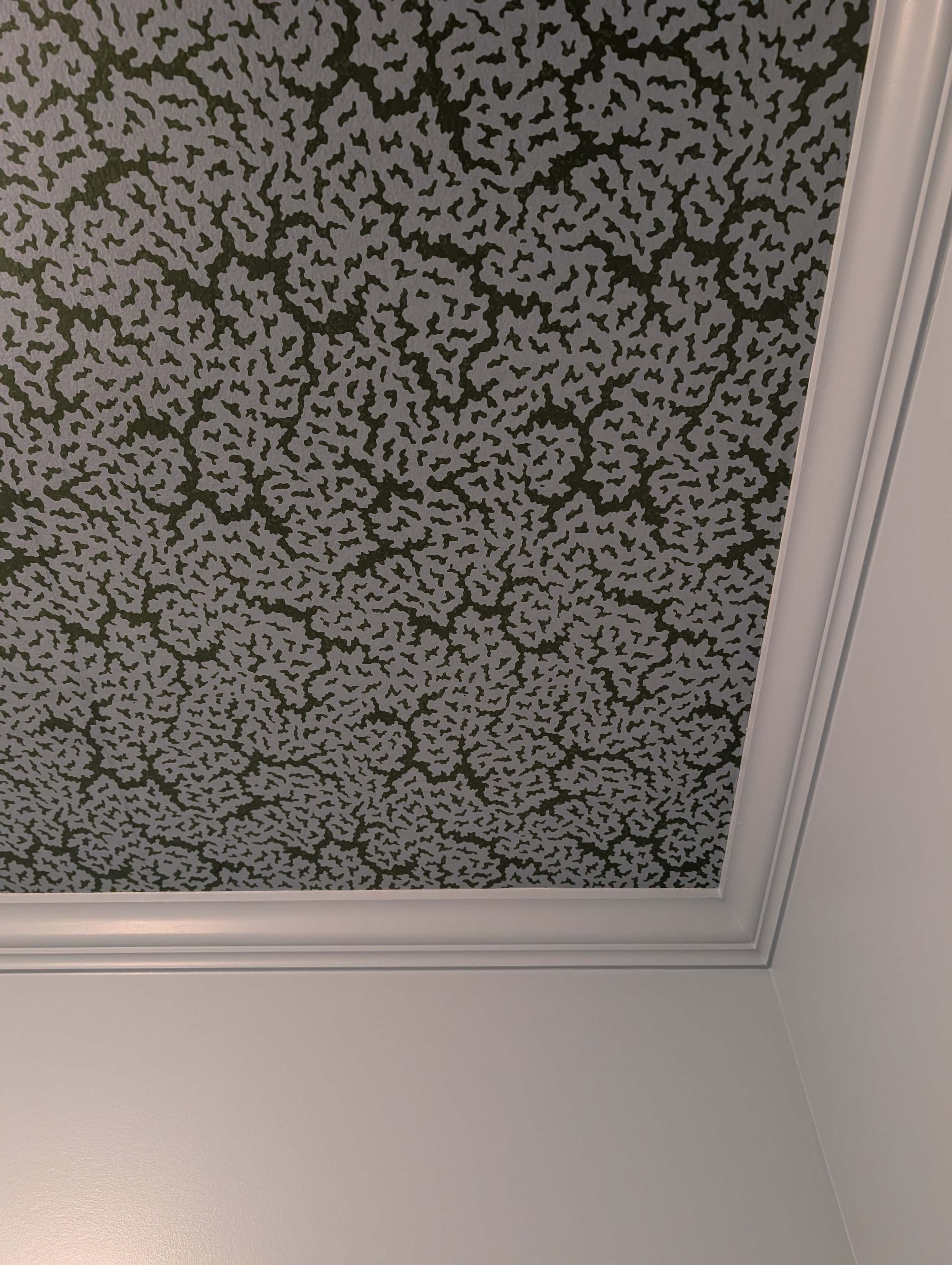 PXL_20250529_155739858.jpg