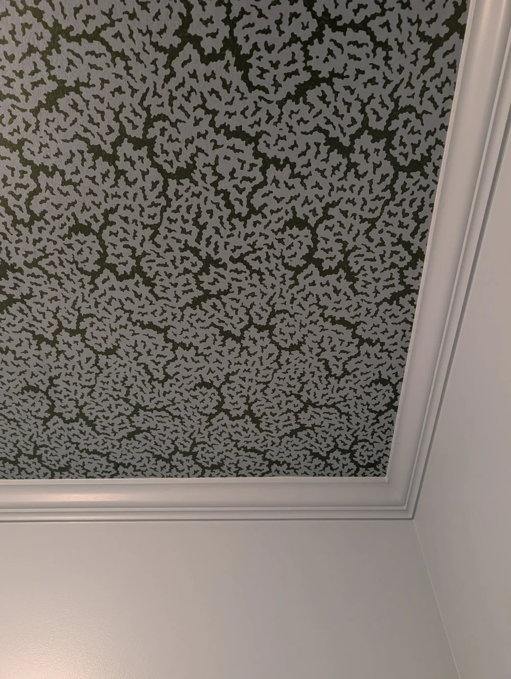ceilingpop13.webp