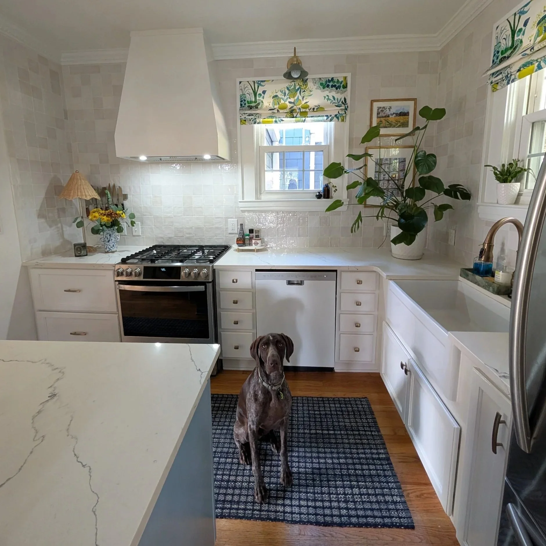 Kitchen Remodel Upgrades... 5 years later