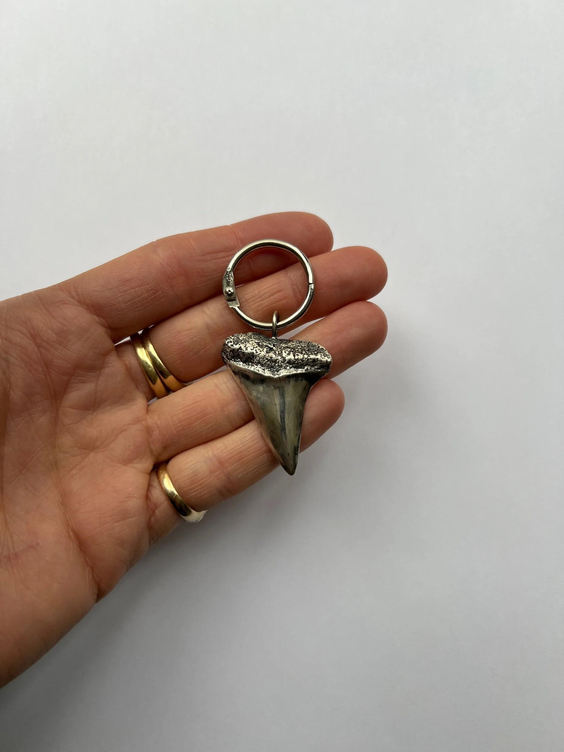 BFFD6319-891E-4026-BF59-349C3BCFB007