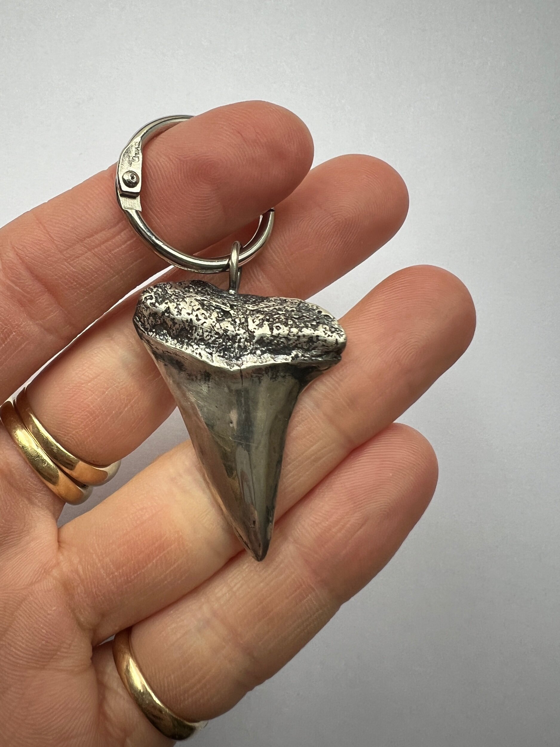 4952F6A0-6BB4-4312-9E60-08198AC6C06F