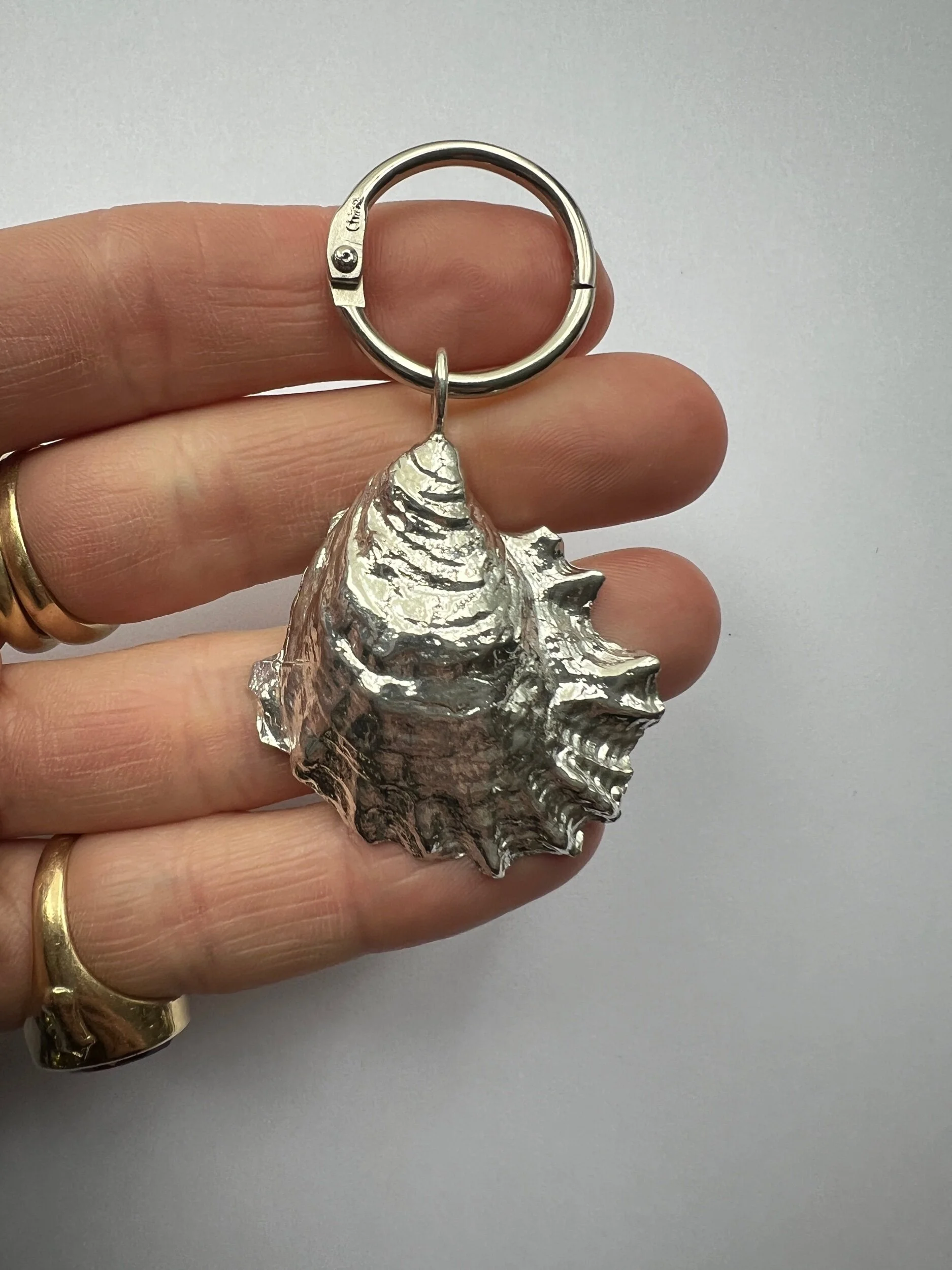 93EE10C0-DF31-4FBA-B256-F5C1E055A085