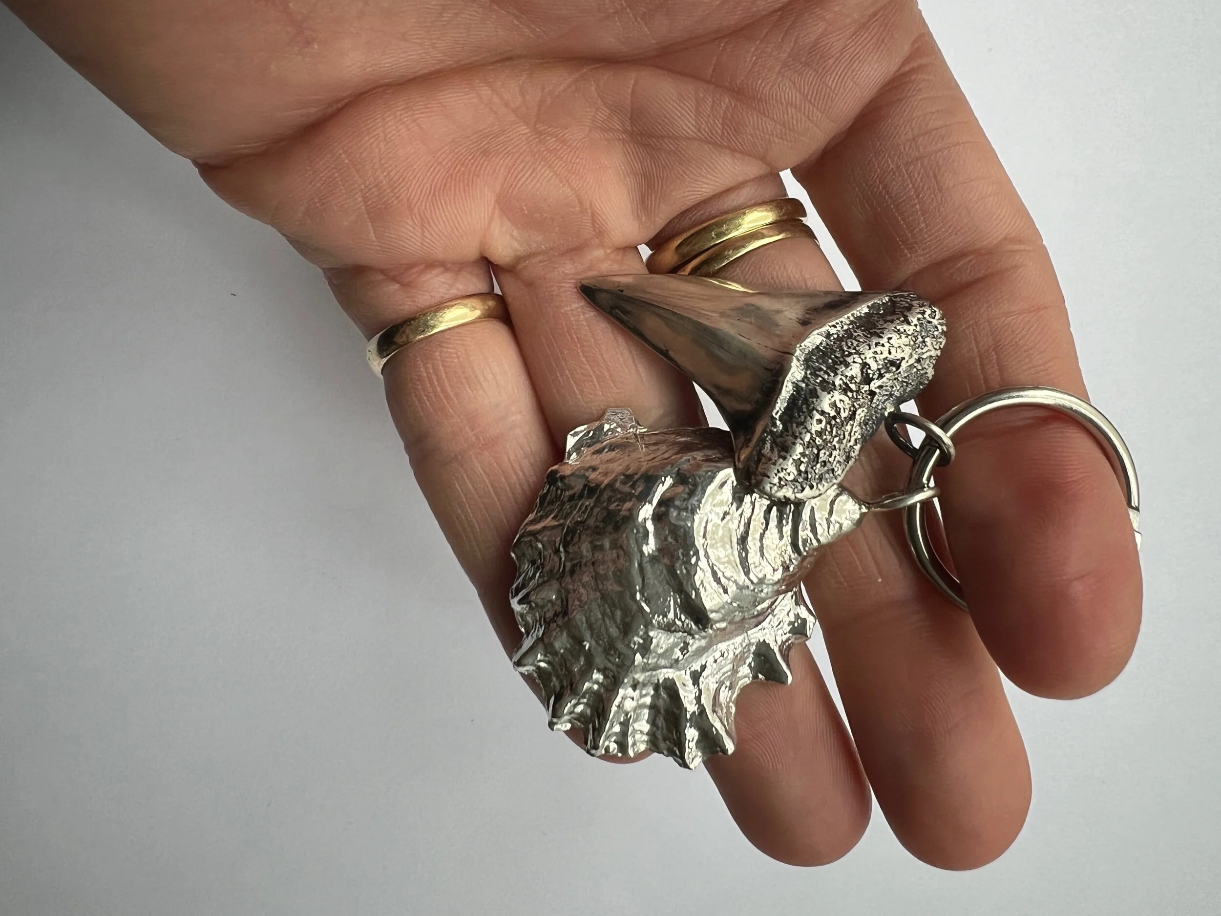 842C2BED-6CBB-4970-AF3E-D818C15A3B76