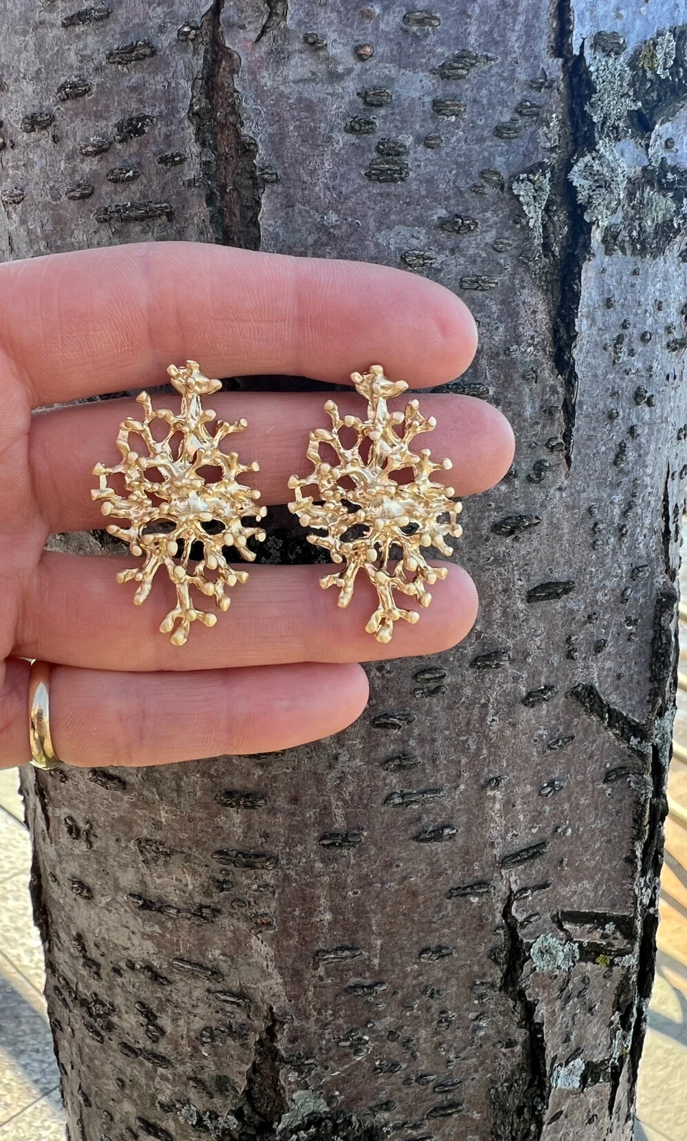 E7697944-36A1-4DCD-9B90-354FE2A61EB4