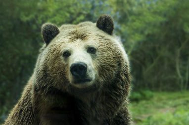 Real estate is entering a bear market—what investors need to know