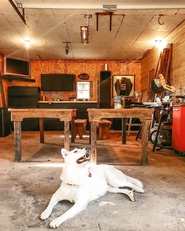 Custom tables &amp; puppy smiles!🐾❤ Storm⚡ has found his rhythm at the farm AND discovered how nice n cool the concrete floor is in the shop!😌 he likes the tables too😉😂 welcome home sweet boy, you look good as a workshop pup😍🐾 follow his story 