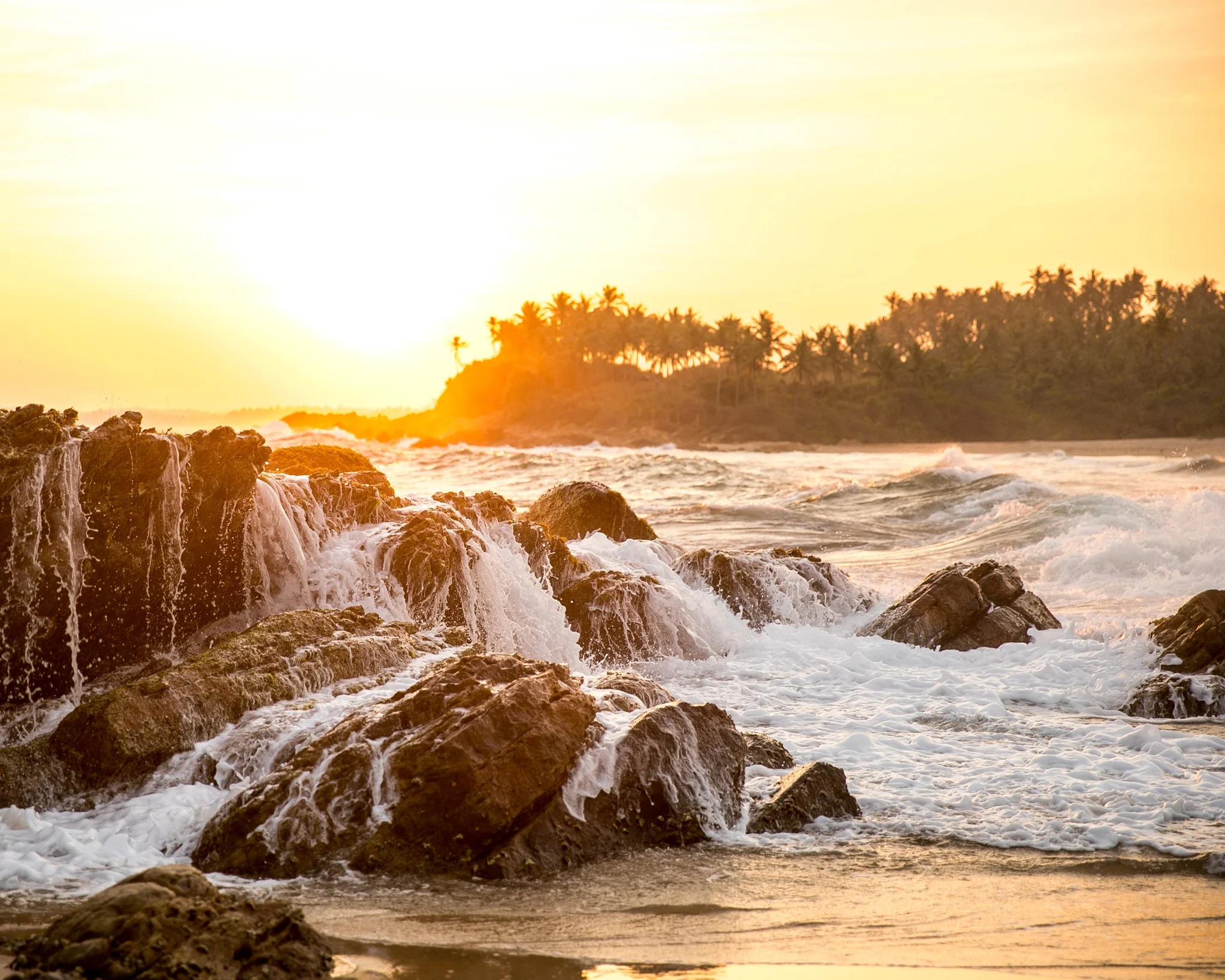 Surfen in Sri Lanka: 5 Gründe warum du hier surfen solltest