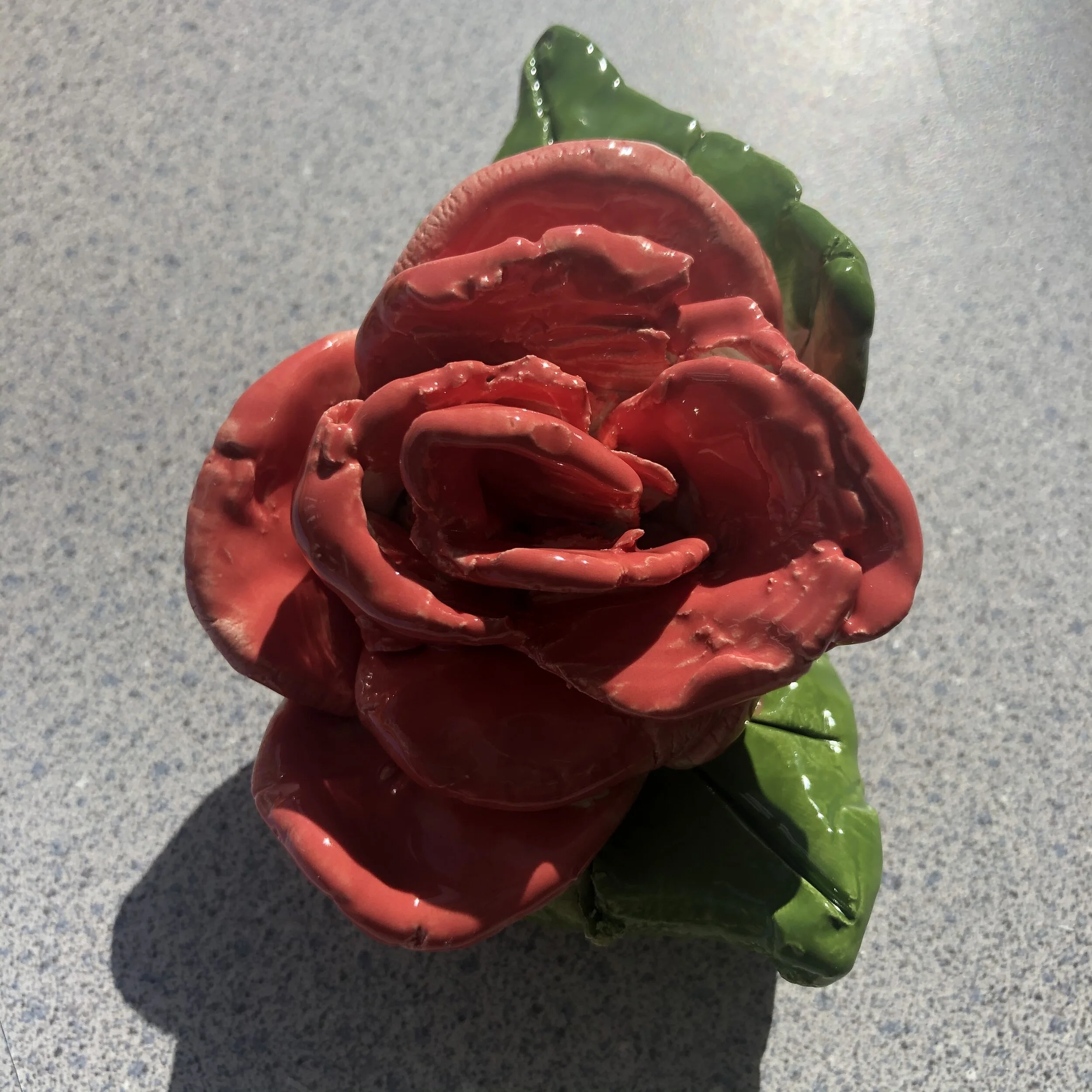 Alayna Criss, 1st Grade