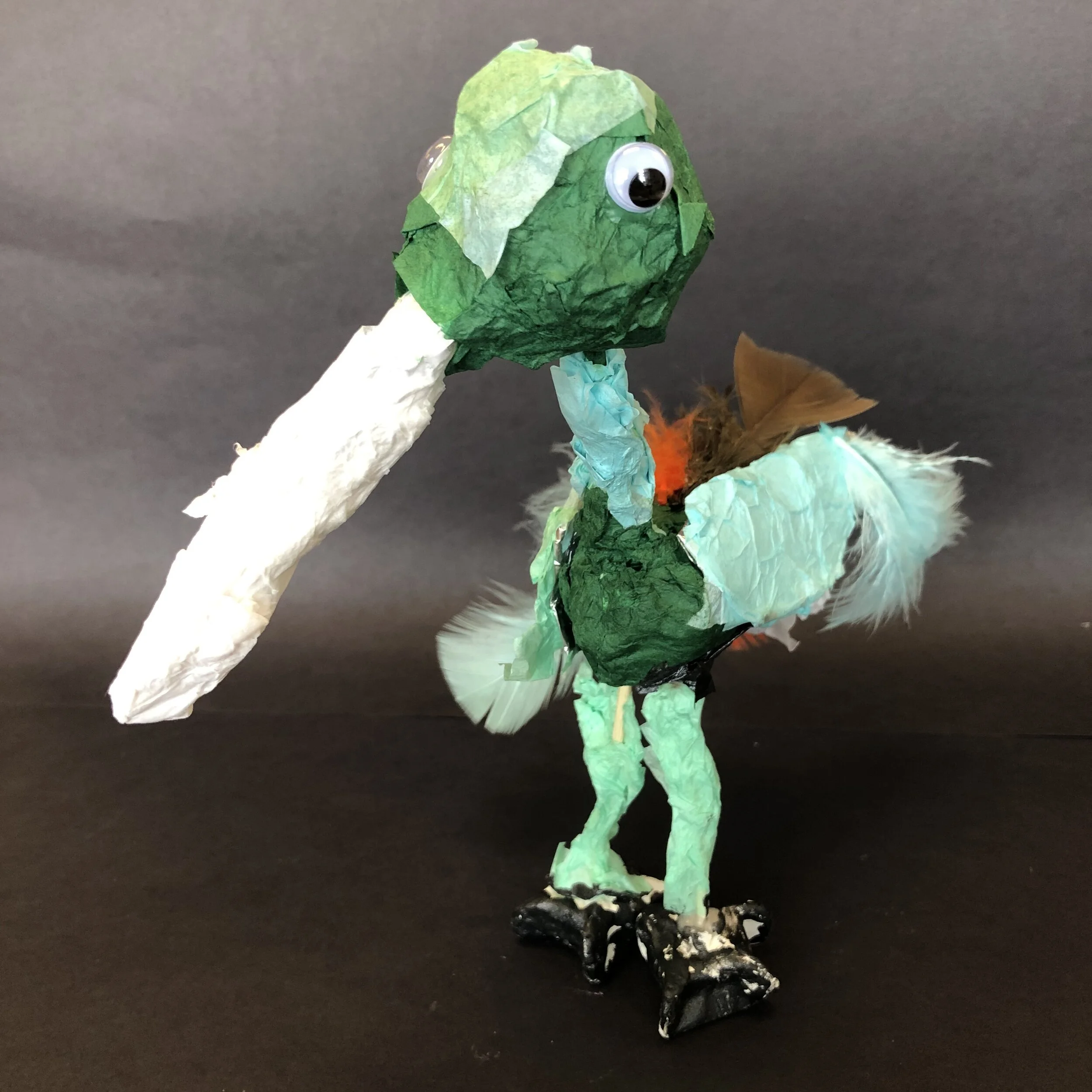 Ayden Zwick, 3rd Grade