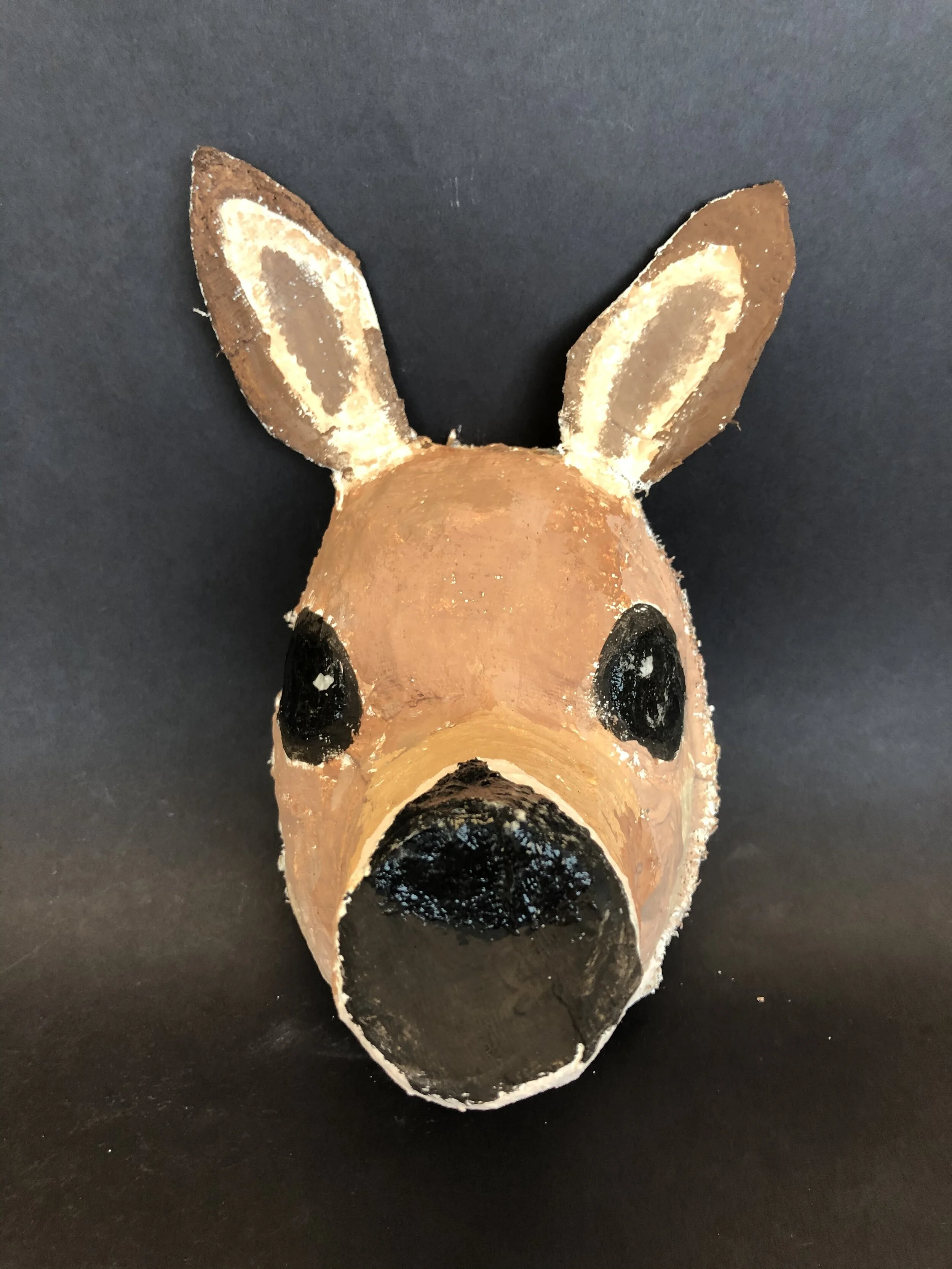 Gianna Equi, 5th Grade