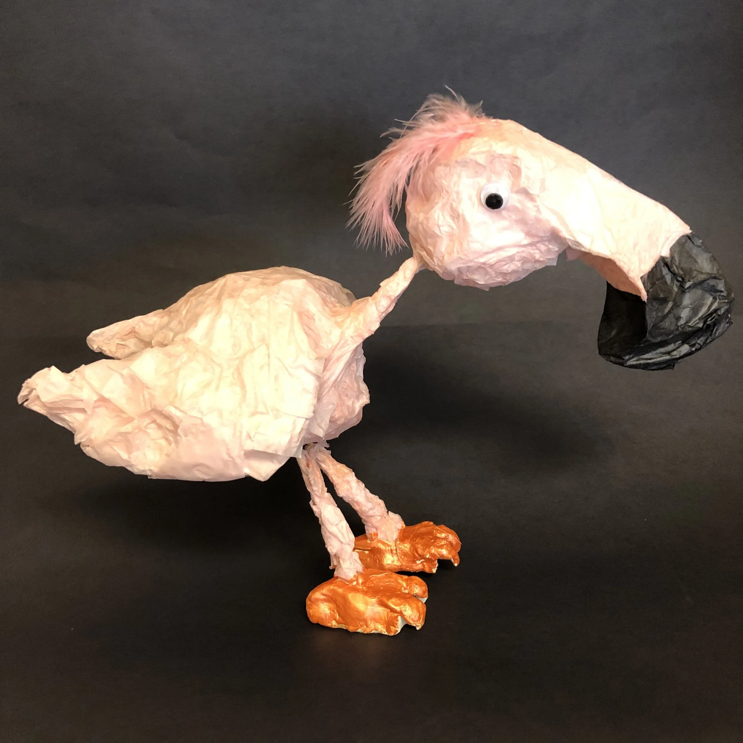 Griffin Condon, 3rd Grade