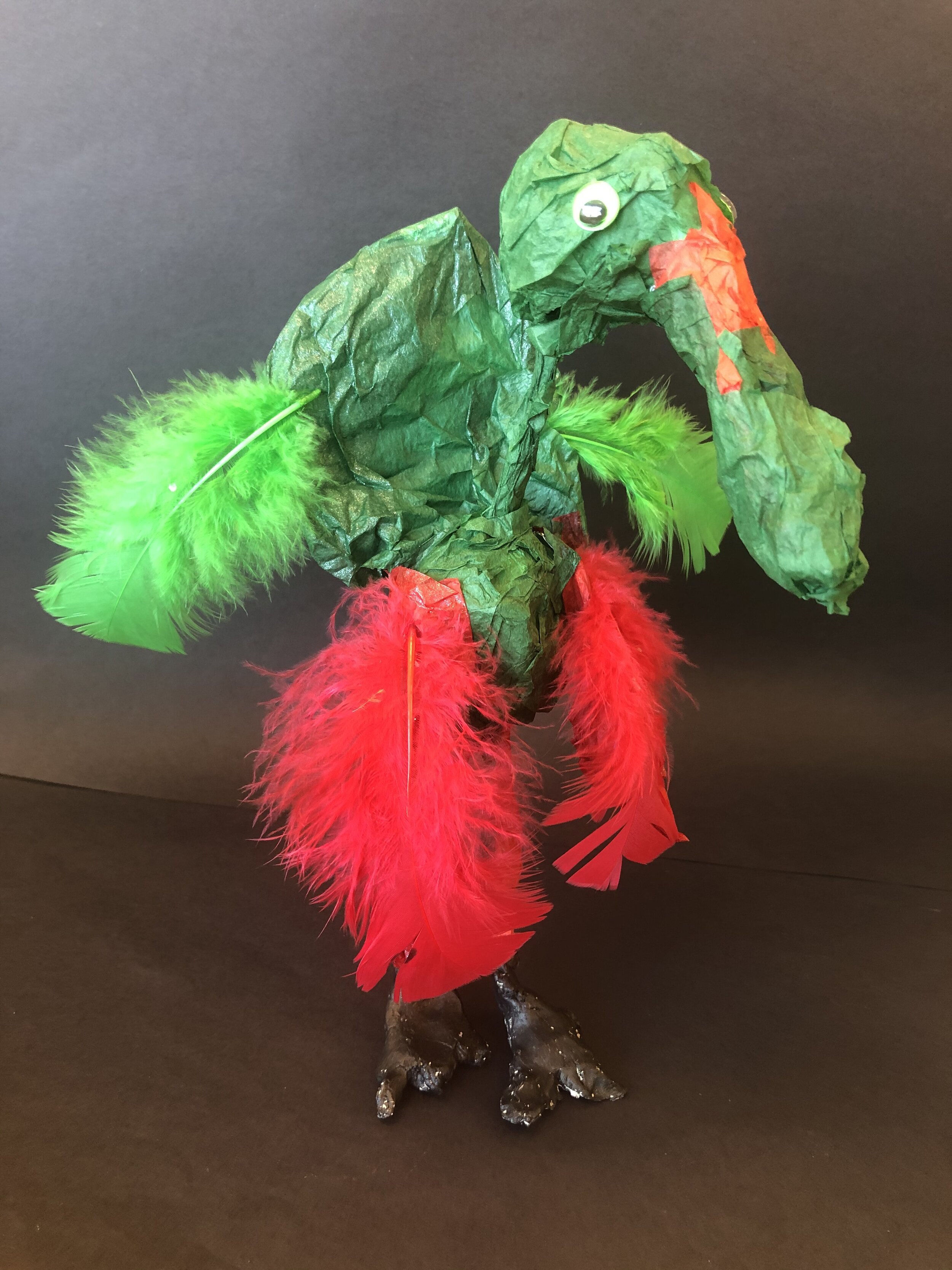 JT Laurenzana, 3rd Grade