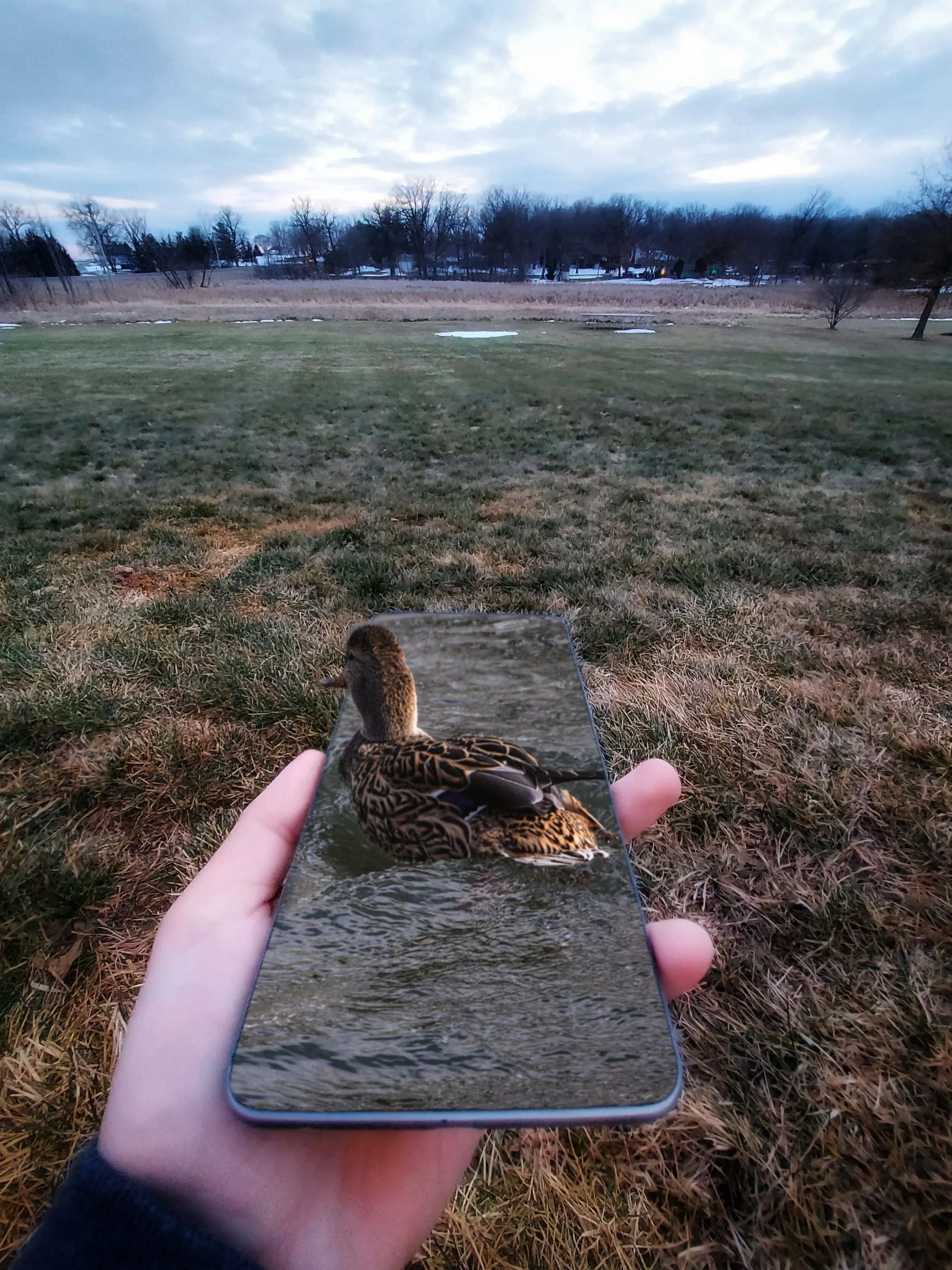 Brooke Cadle, 10th Grade