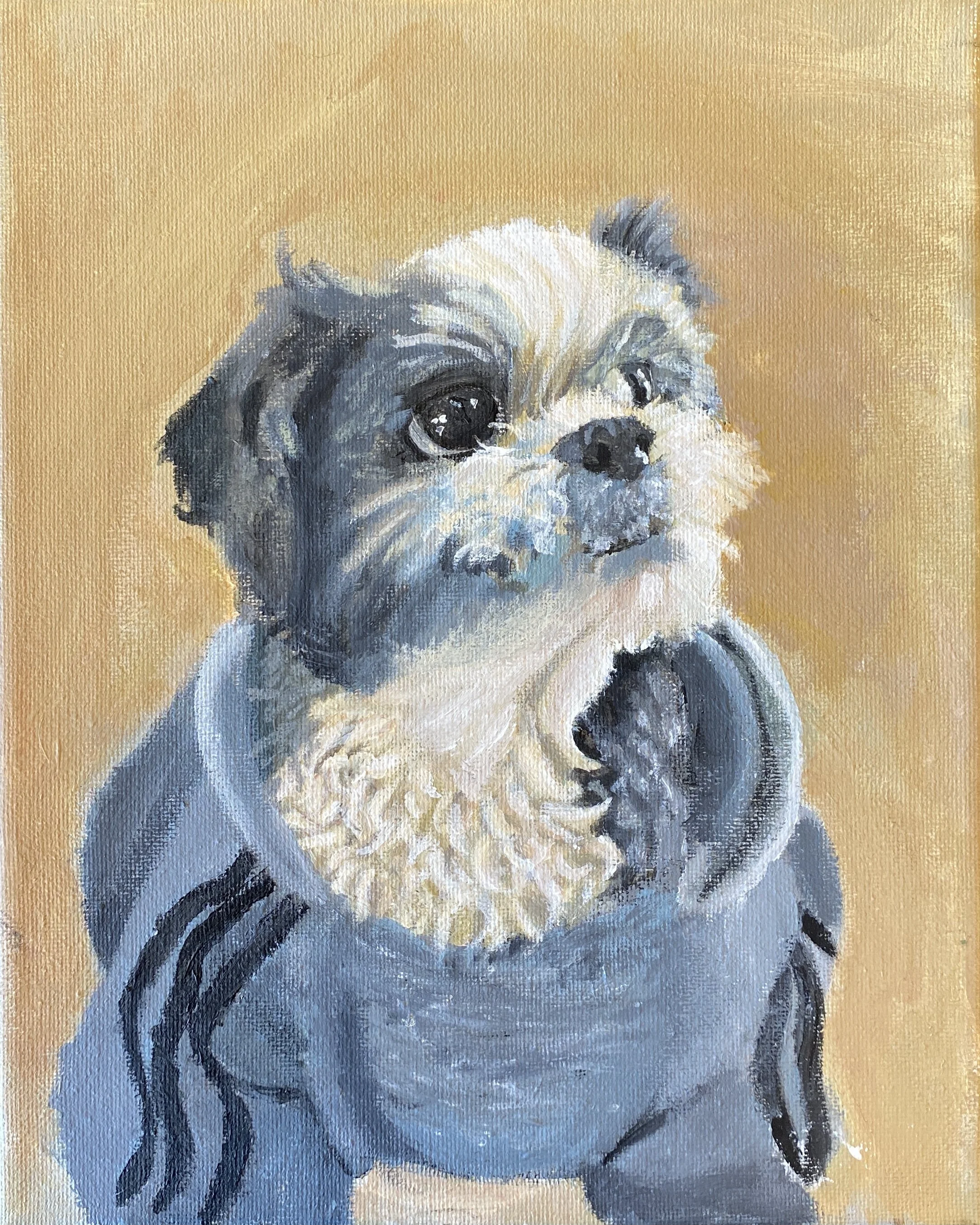 Teia Brandl, 12th Grade