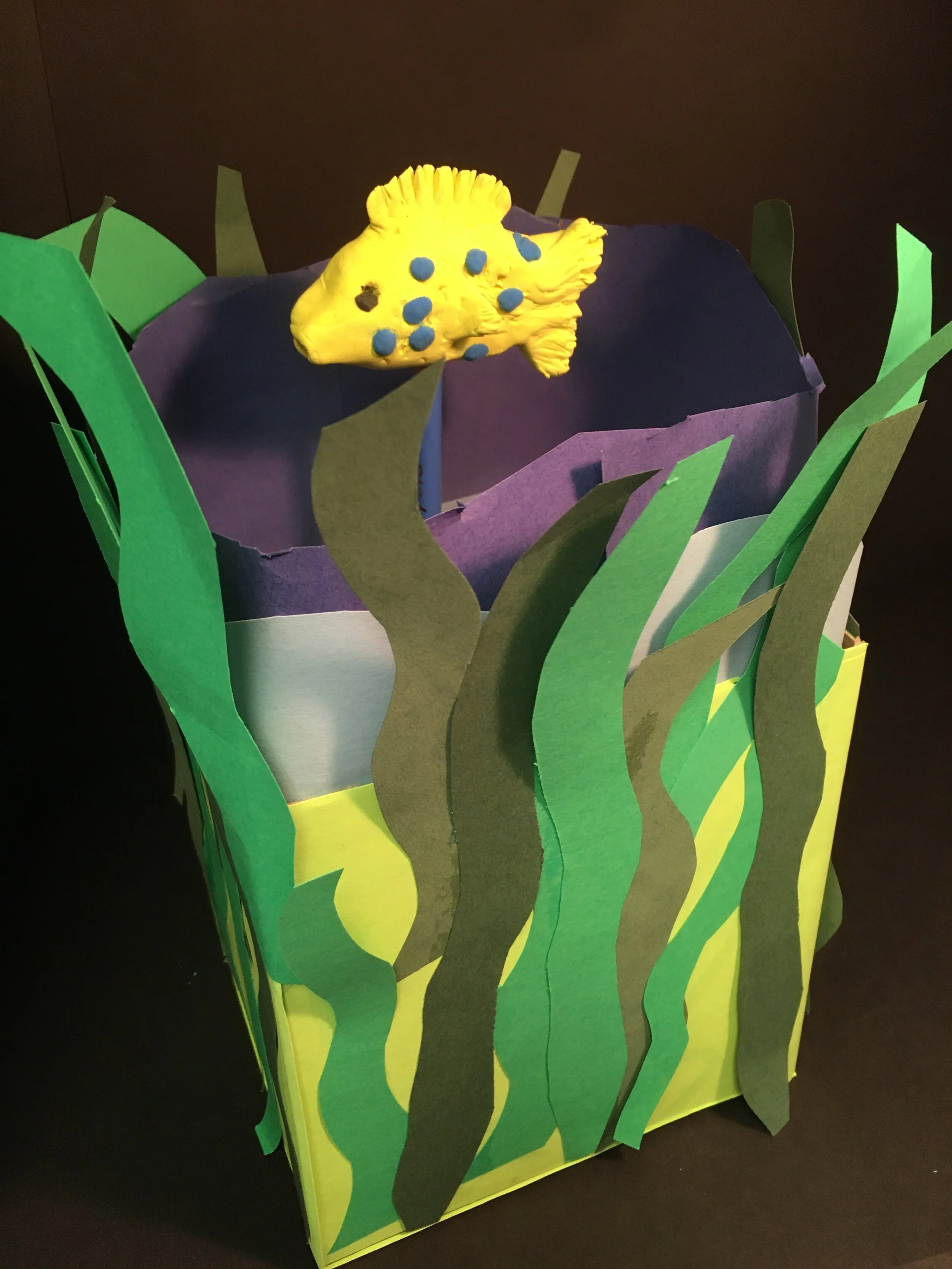 Cameron Ward, 2nd Grade