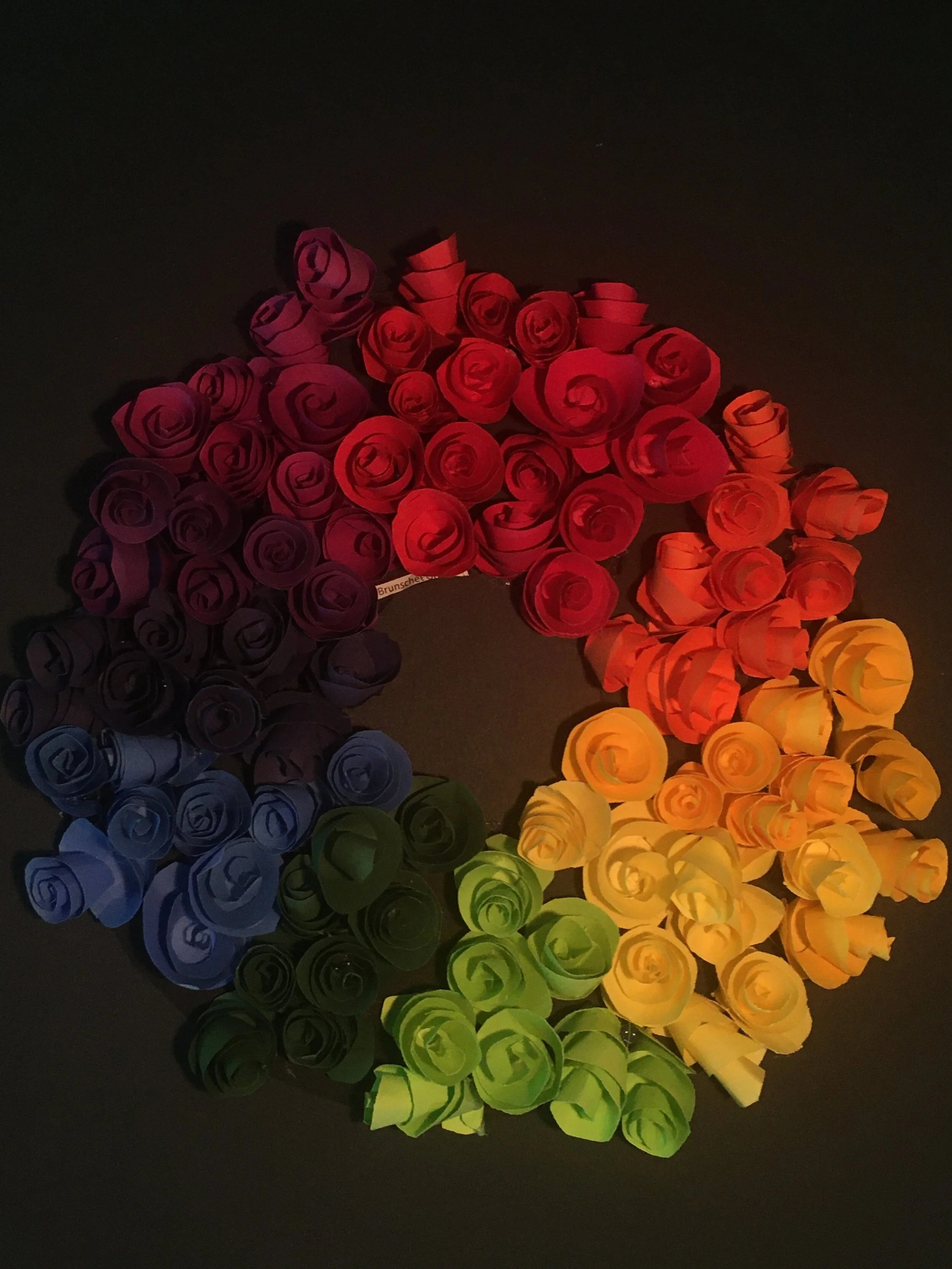 Grace Brunscheen, 5th Grade