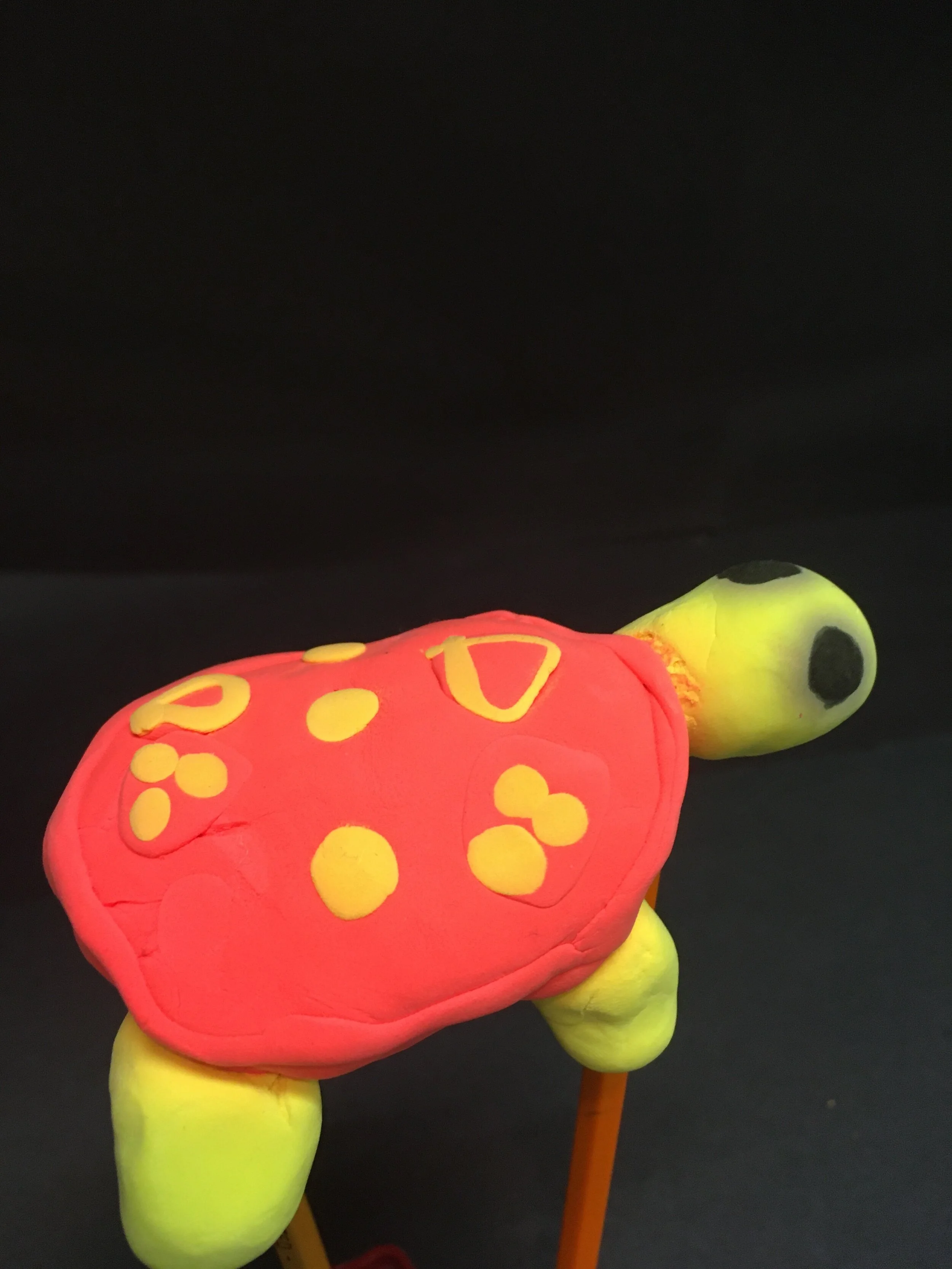 Jadyn Johnson, 2nd Grade