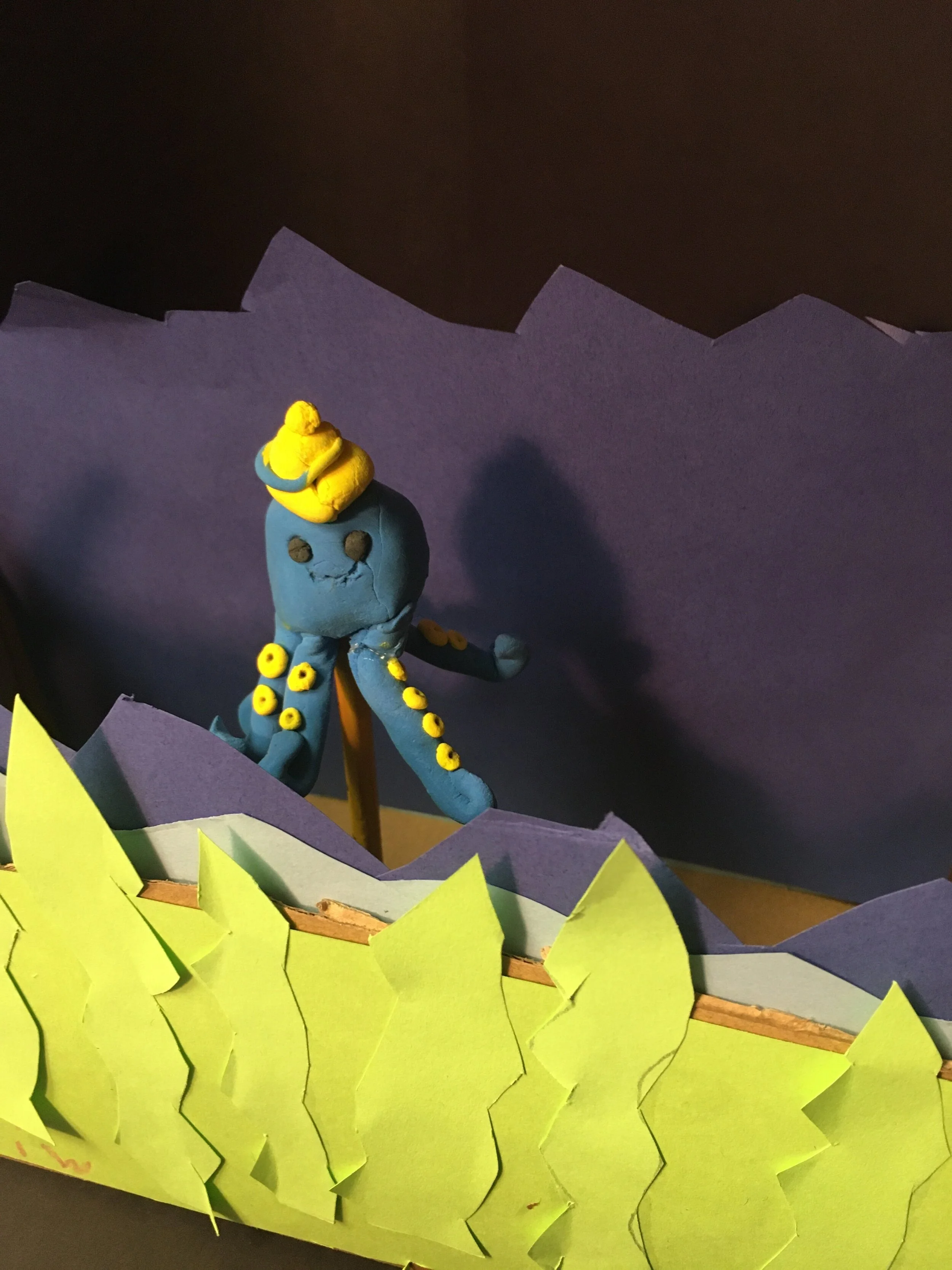 Lily Pinks, 2nd Grade