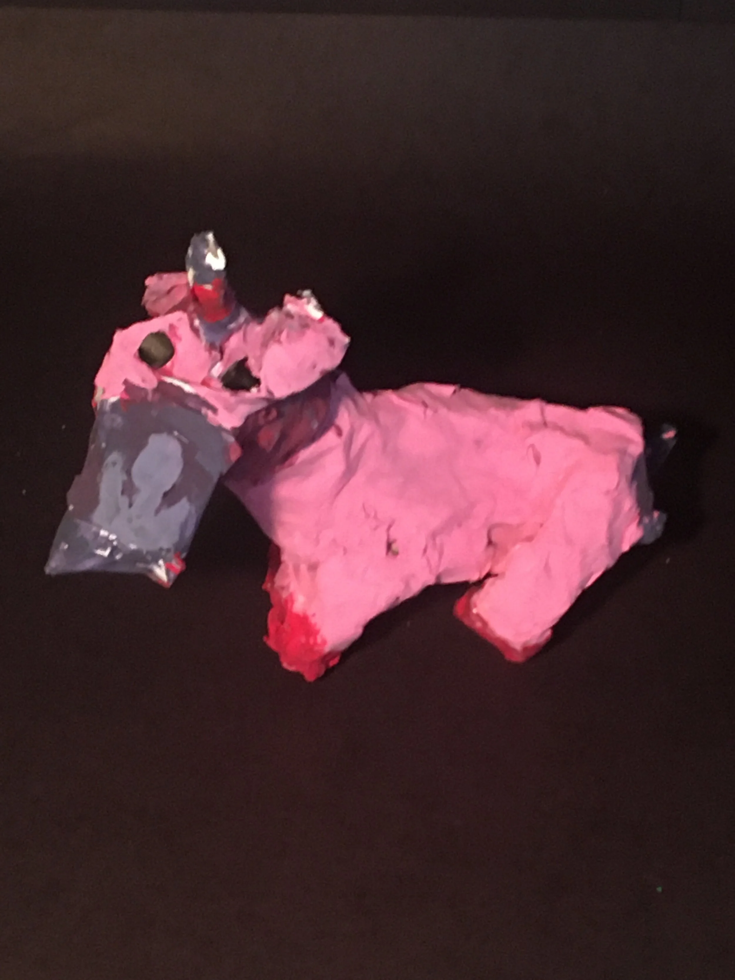 Lyla Rex, 3rd Grade