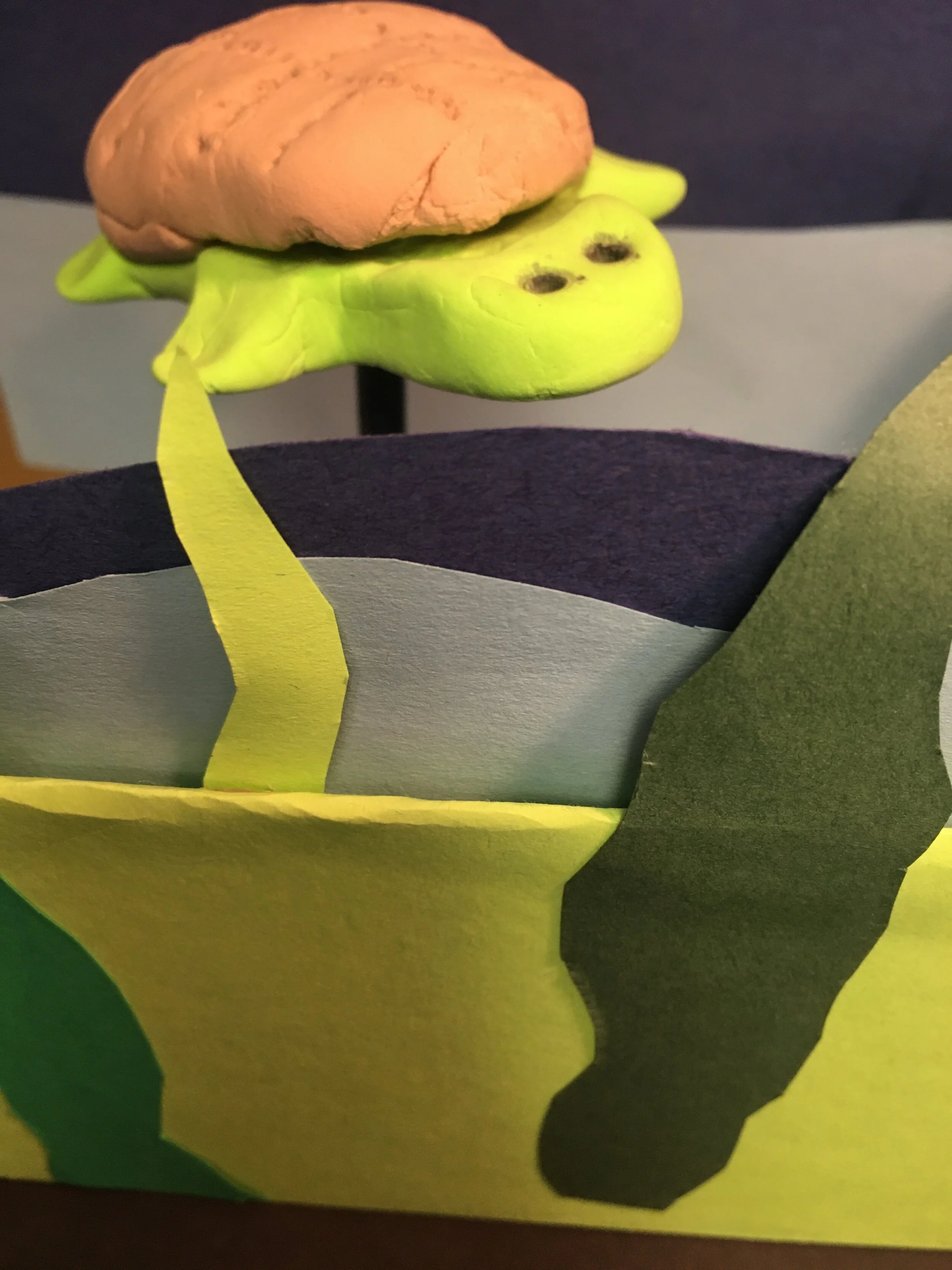 Teagan Murphy, 2nd Grade