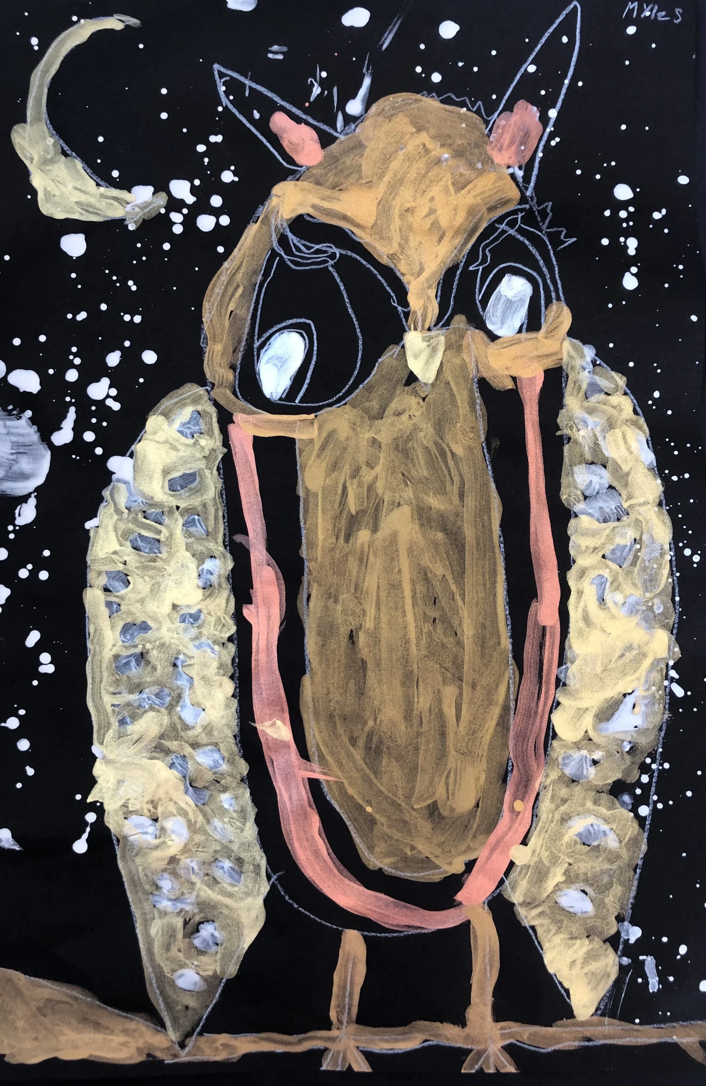 Myles Moran, 3rd Grade