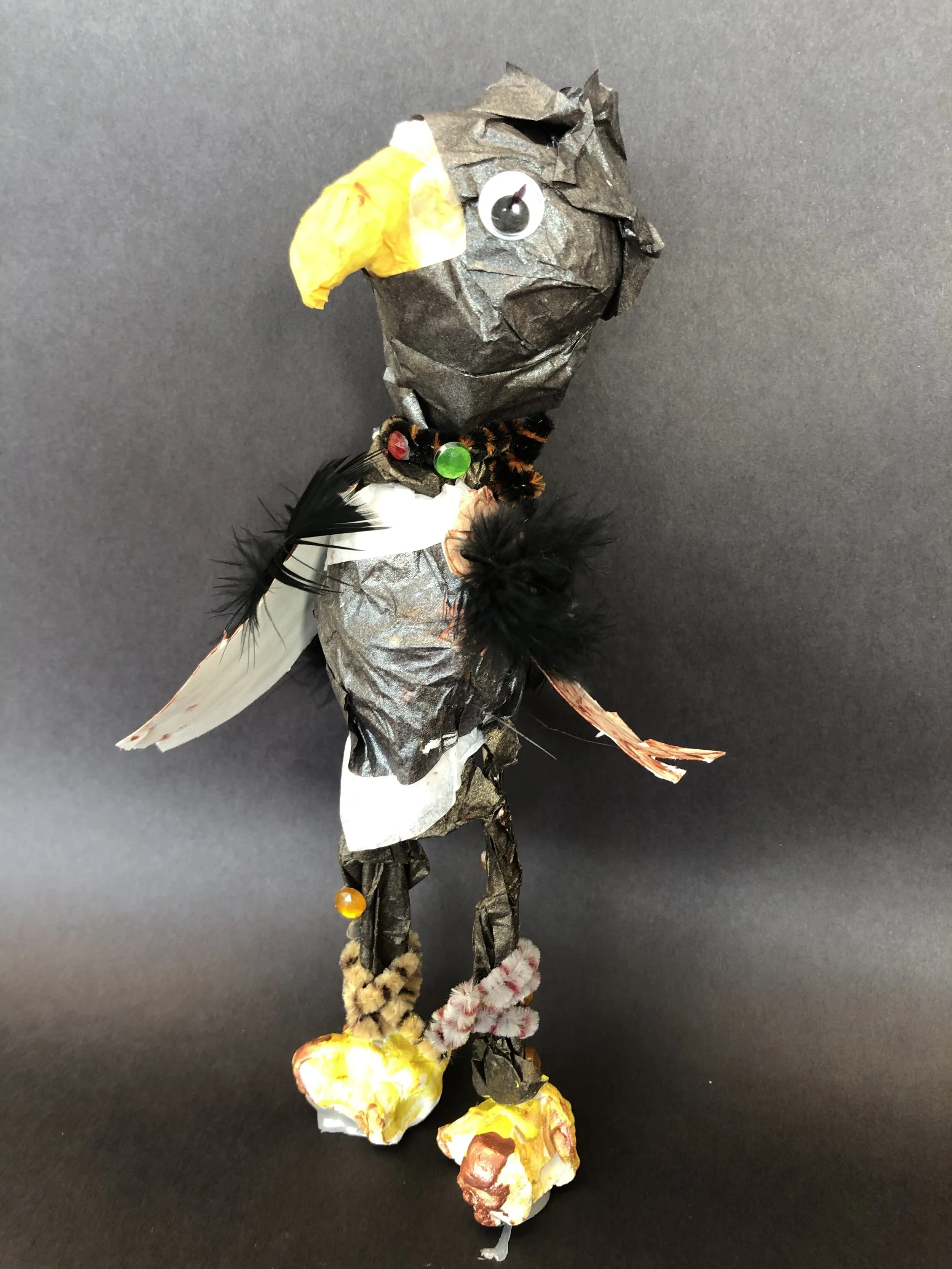 Tyler Hochstetter, 3rd Grade