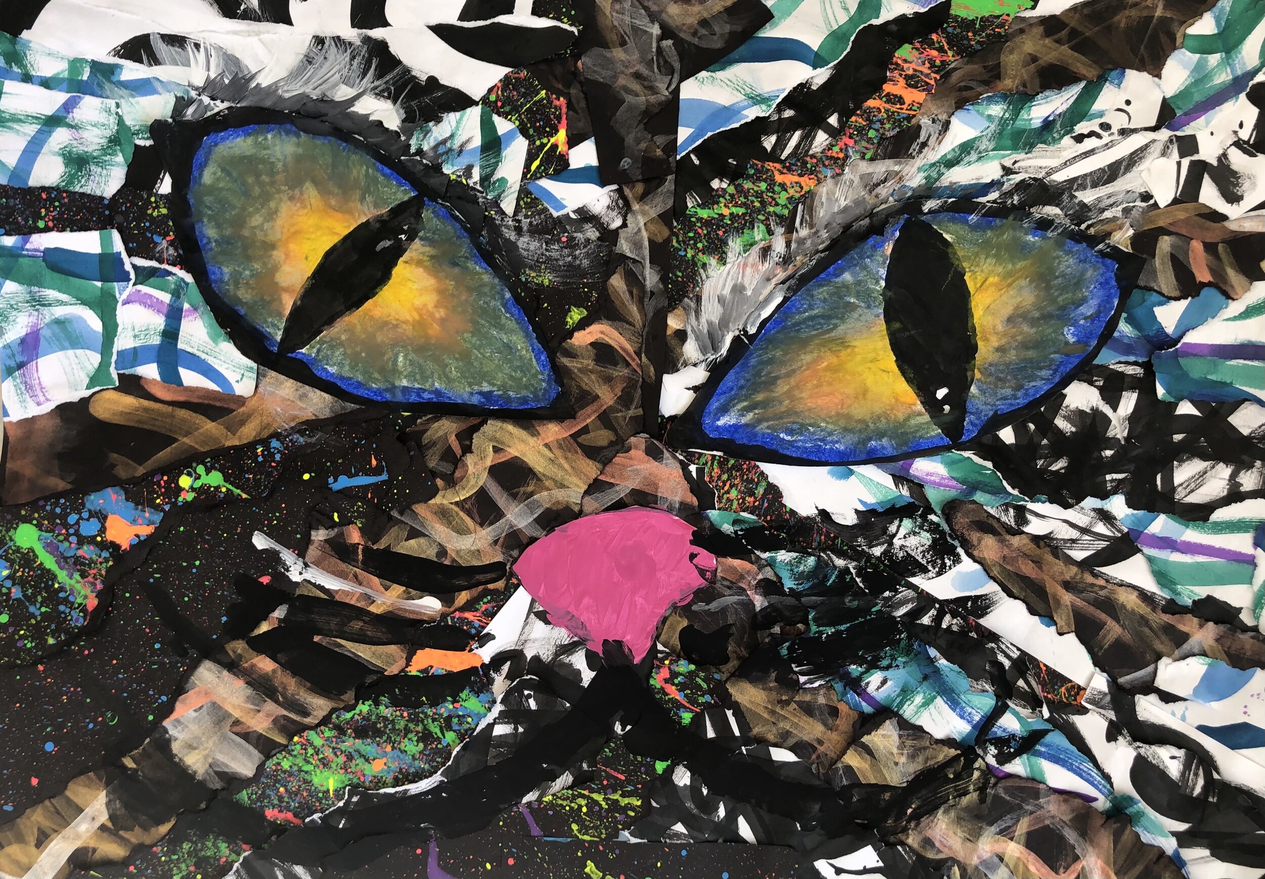 Zach Howard, 5th Grade