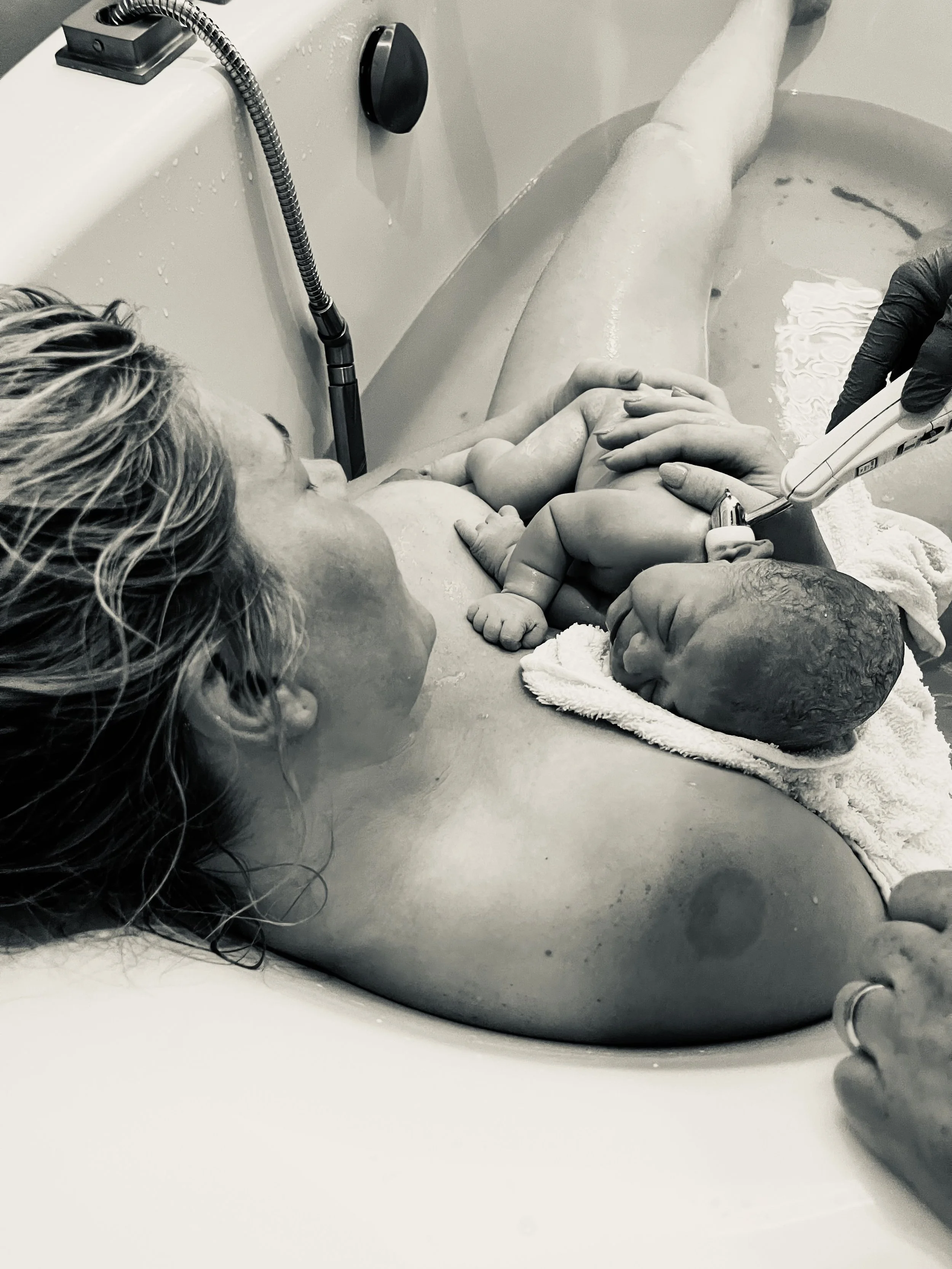 Alexia Bertelli.jpeg