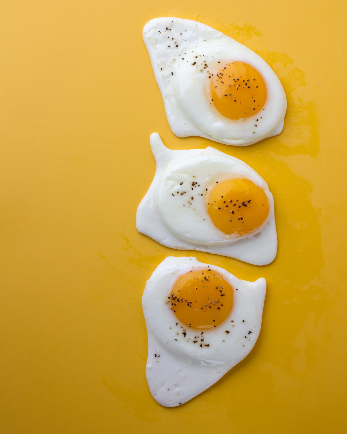 eggs-1995web.jpg