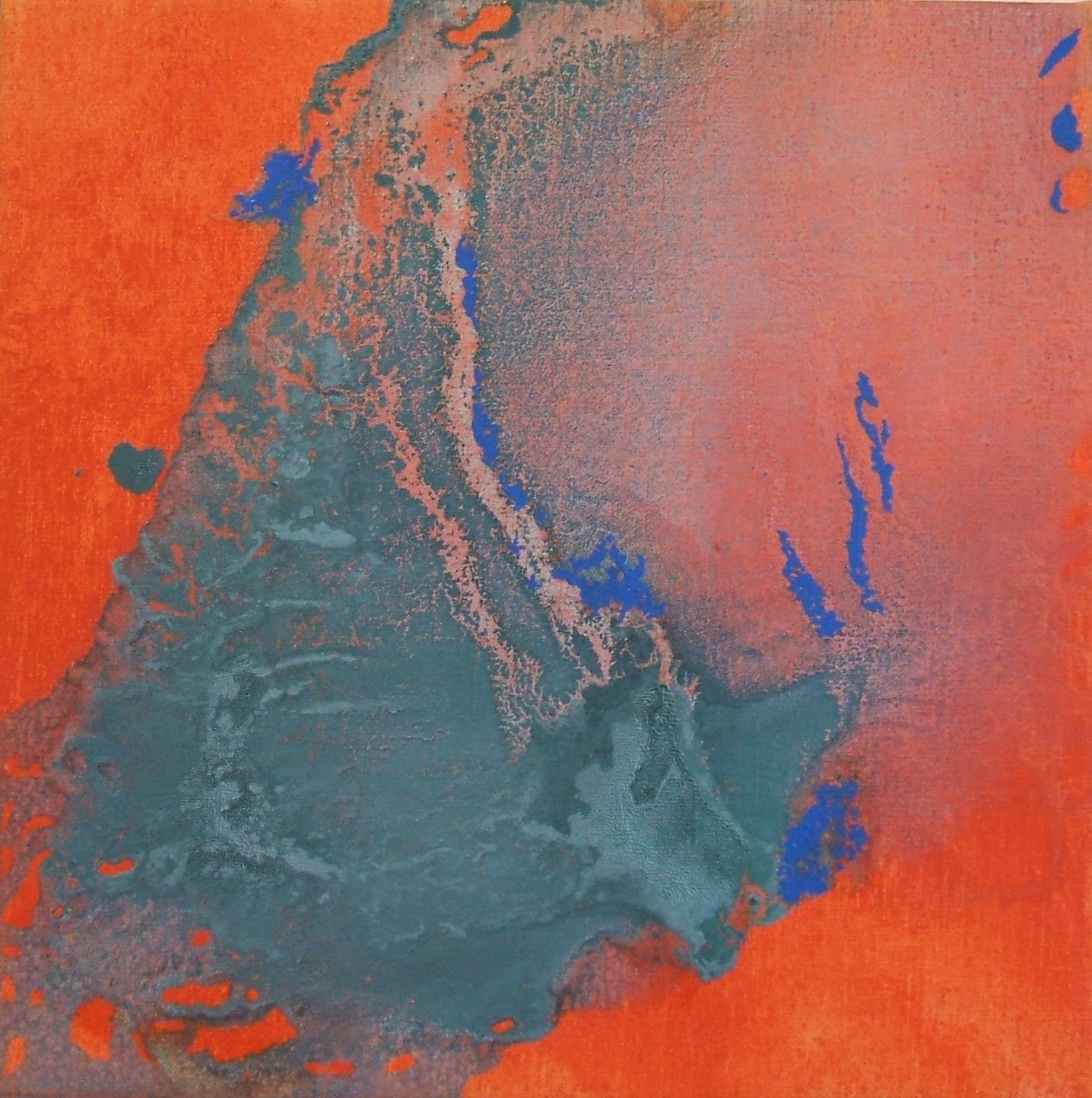 (t)Red Admiral Jan'07 30.5x30.5cm.JPG