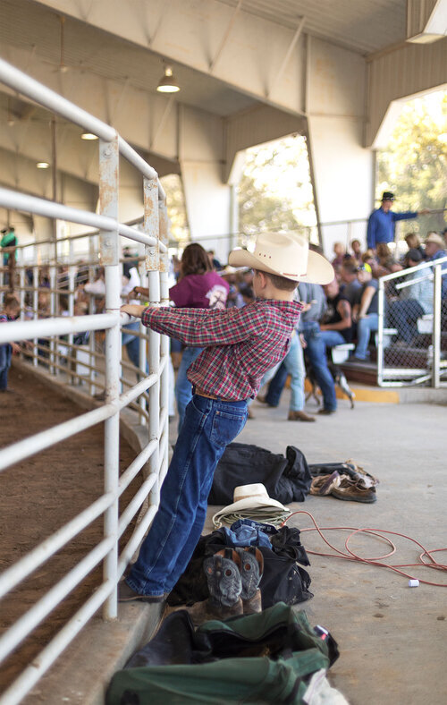 Rodeo3.jpeg