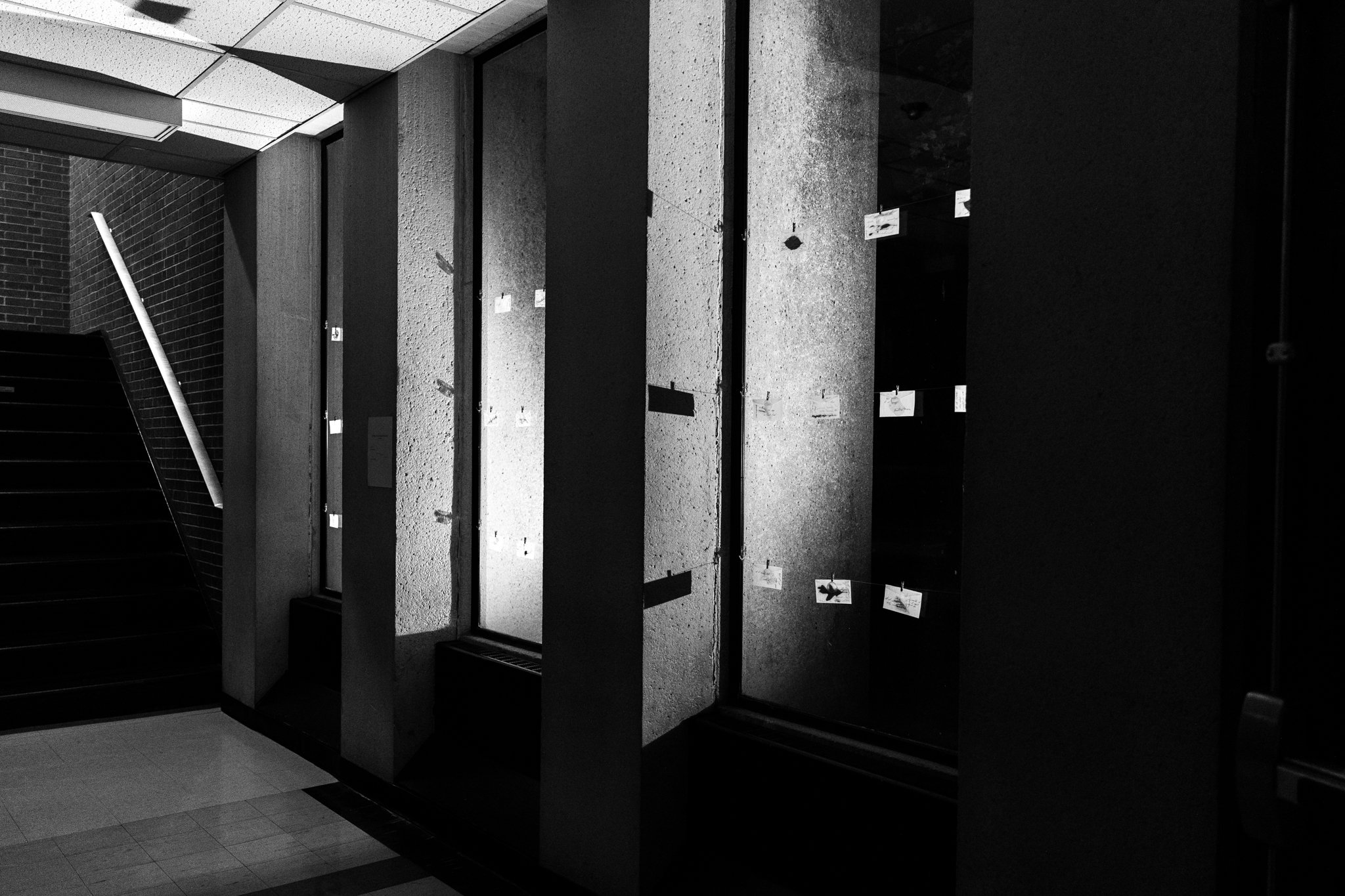 scan-43.jpg