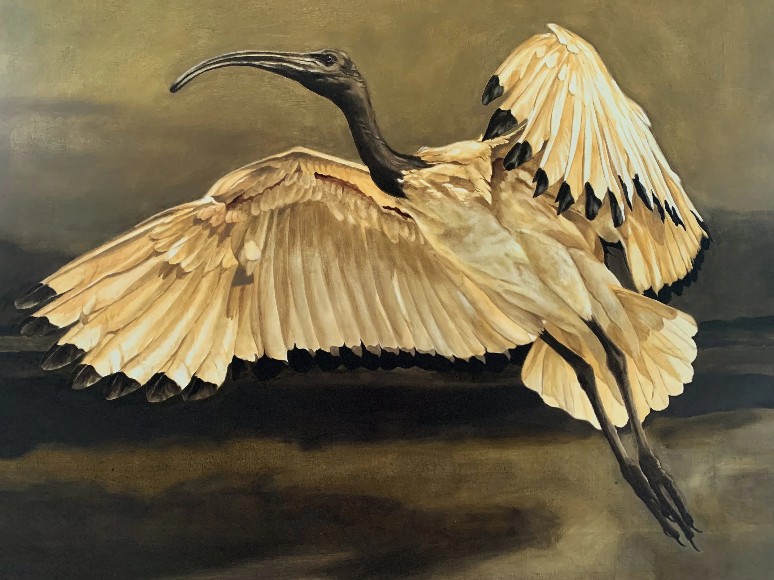 Concordia detail.jpg