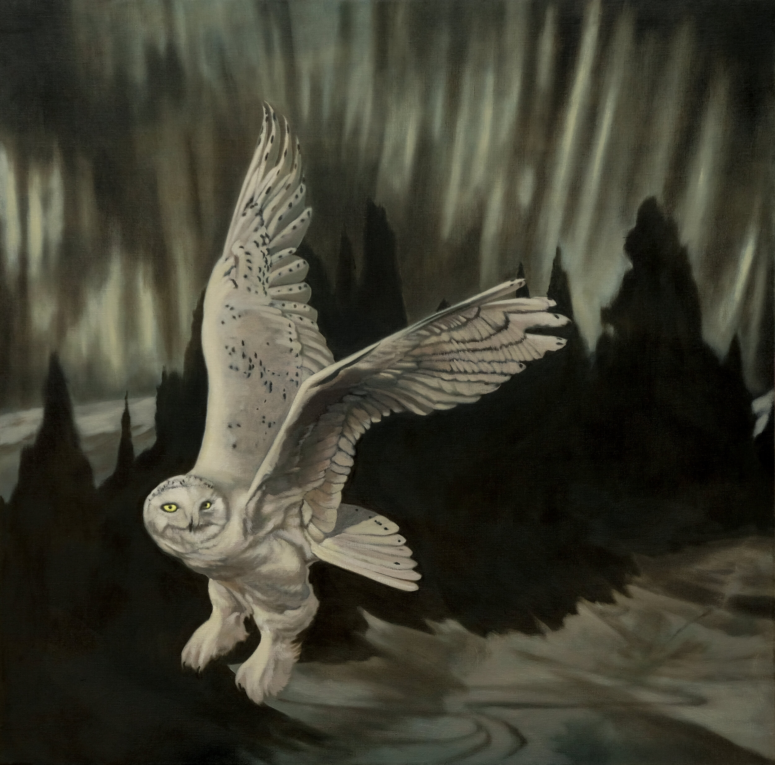 The Spirit of the North (Snowy Owl/ Aurora Borealis)