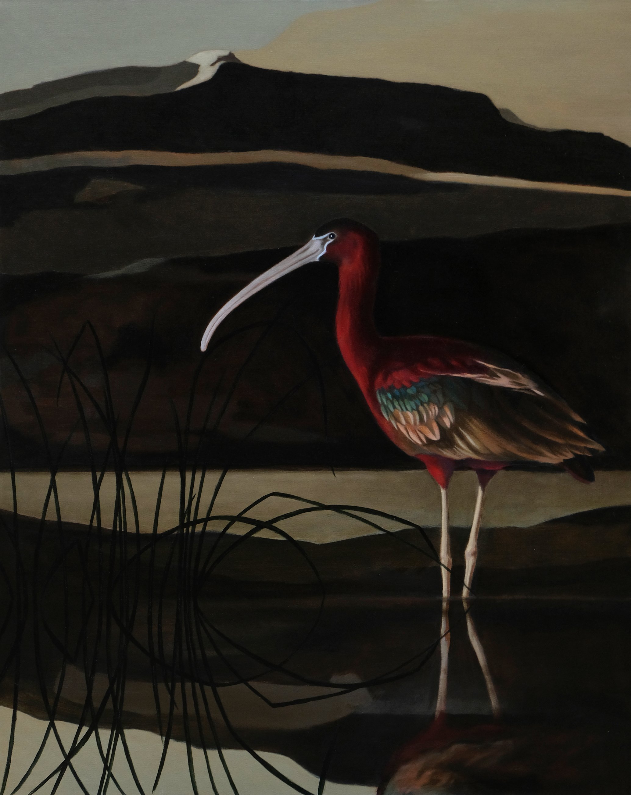 Glossy Ibis (Diptych Right Panel)