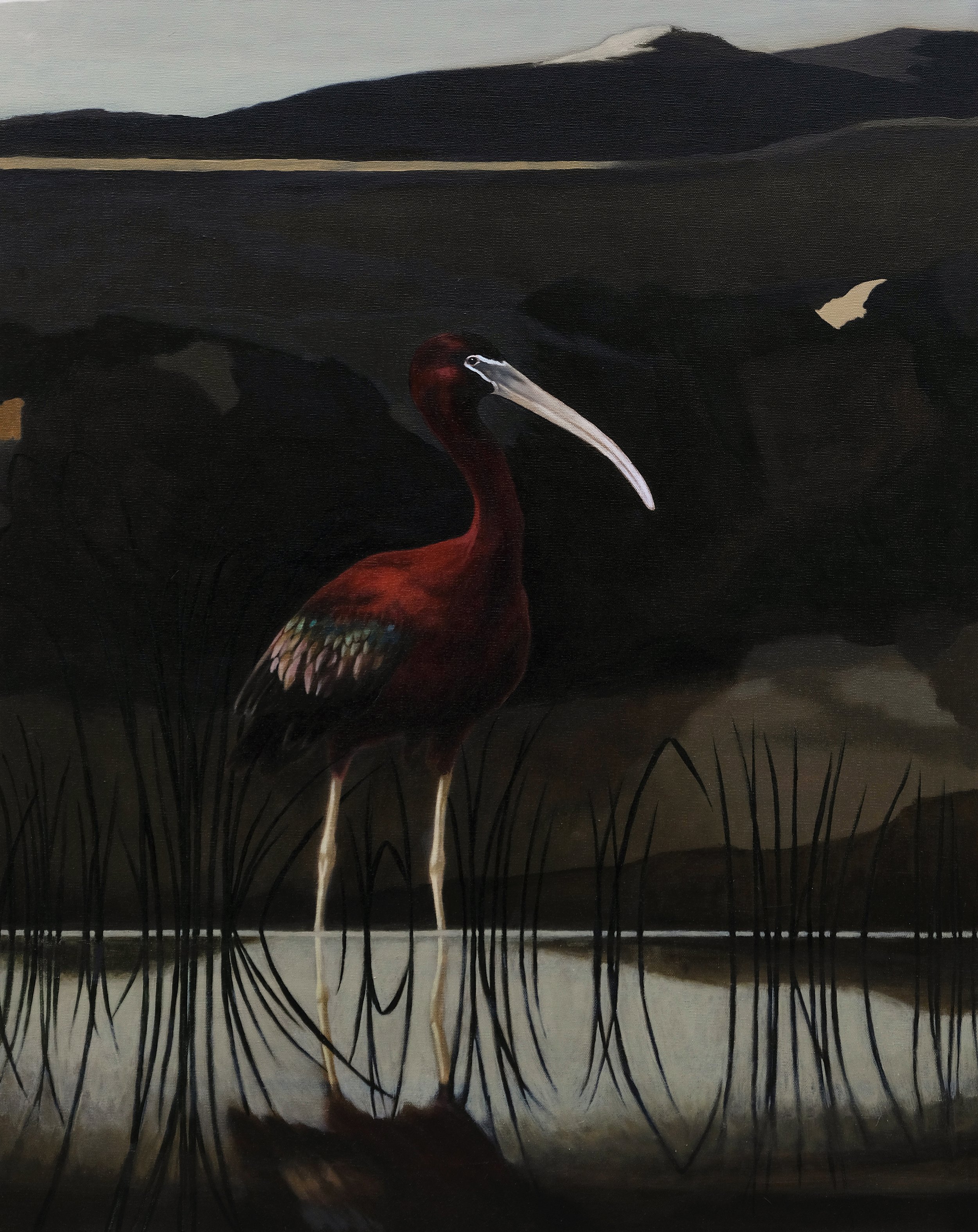 Glossy Ibis (Diptych Left Panal)