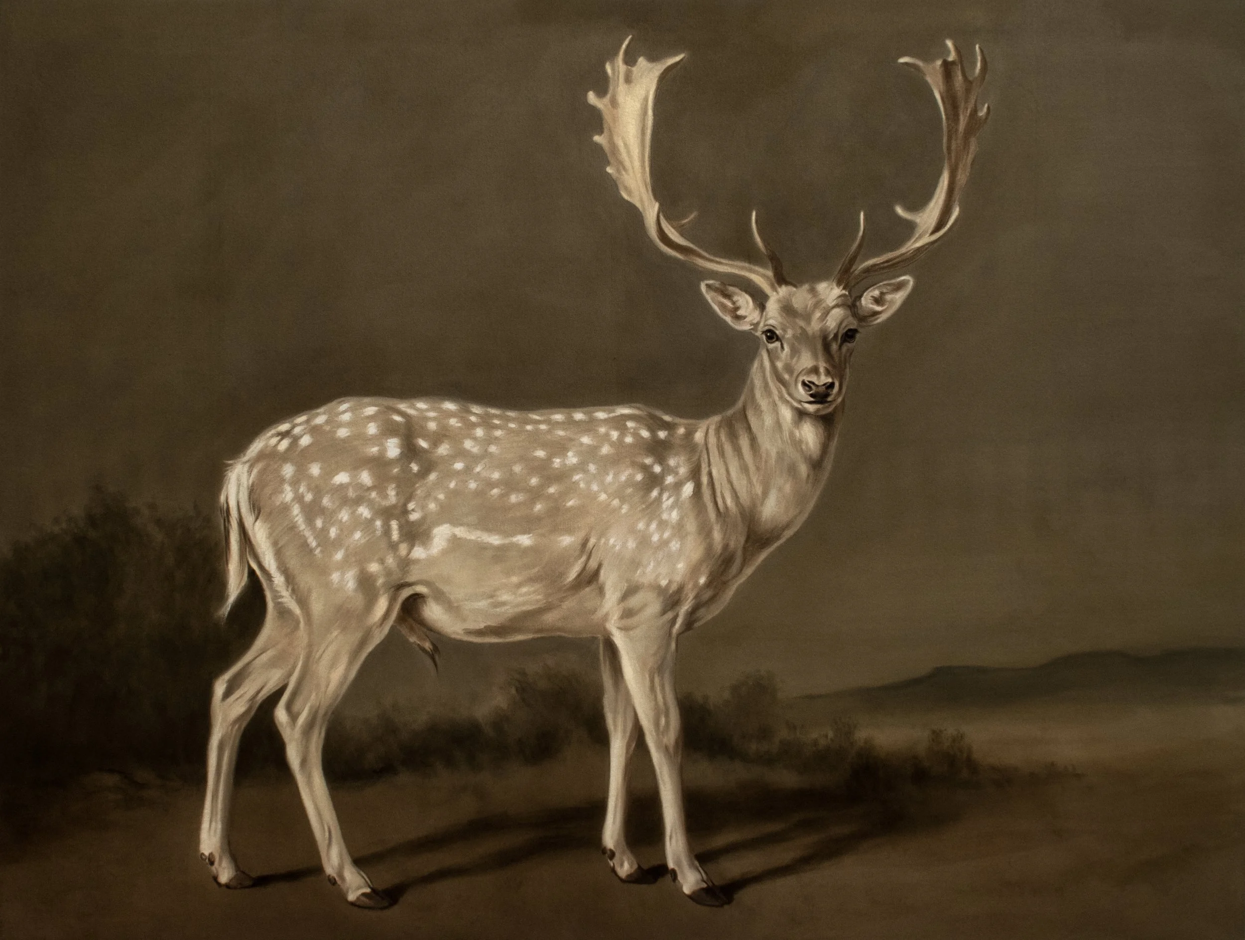 White Hart