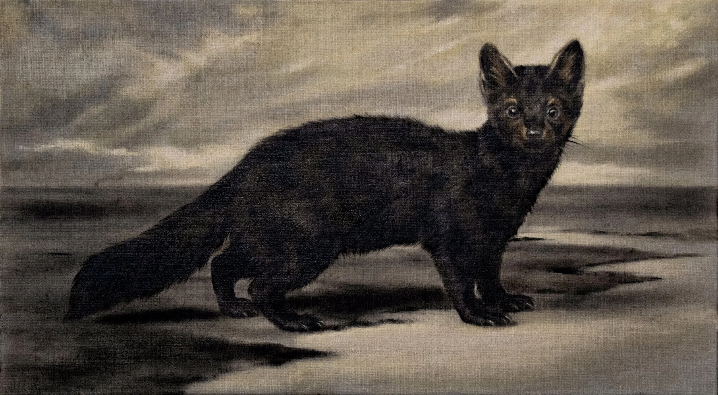 Sable