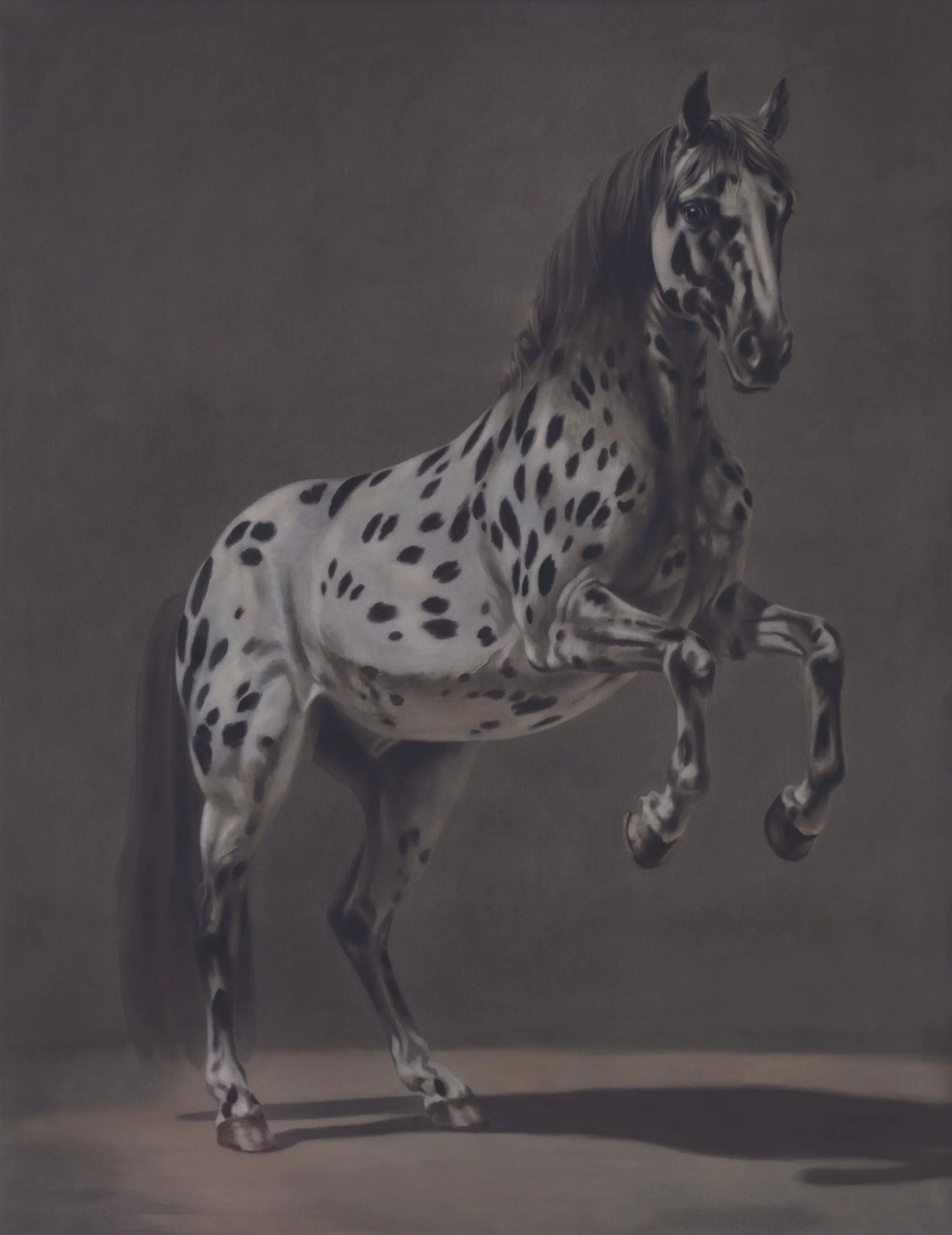 FCN_The Stalking Horse_Print copy 2.jpg