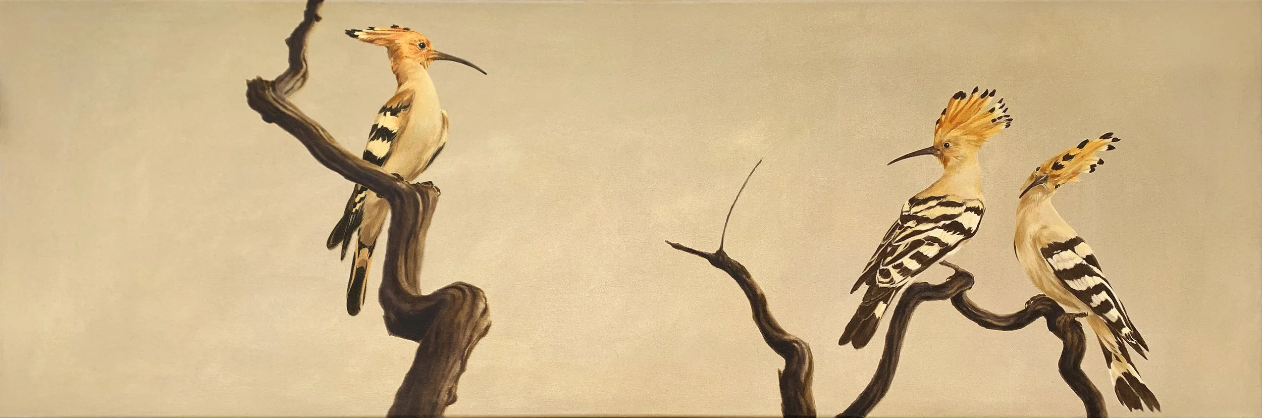 Hoopoe Overmantle Finished Comp.jpg