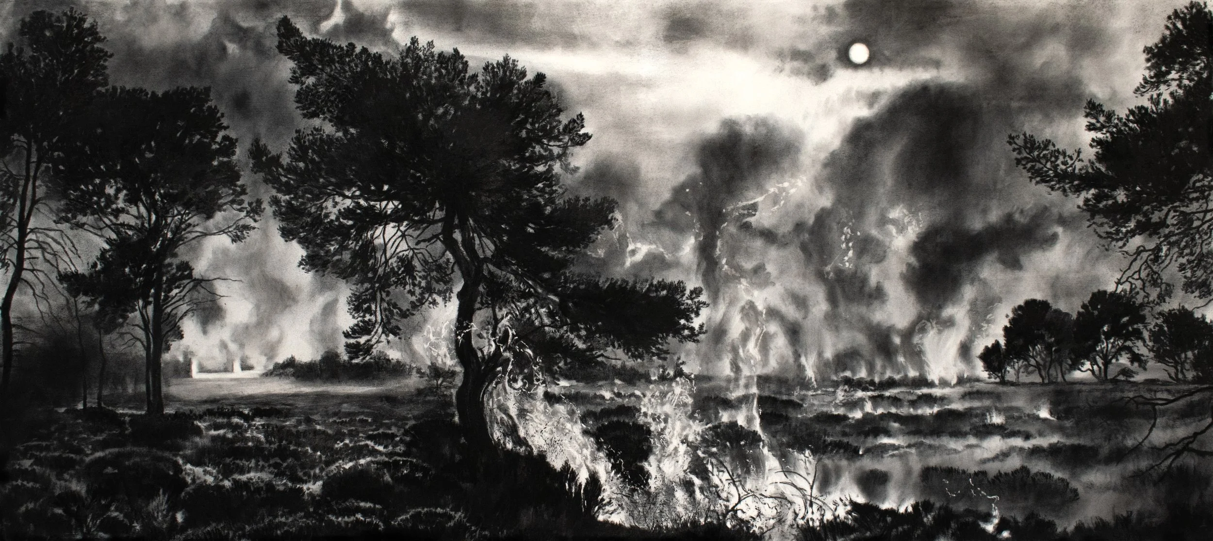 FCN_New Forest_Fire copy.jpg